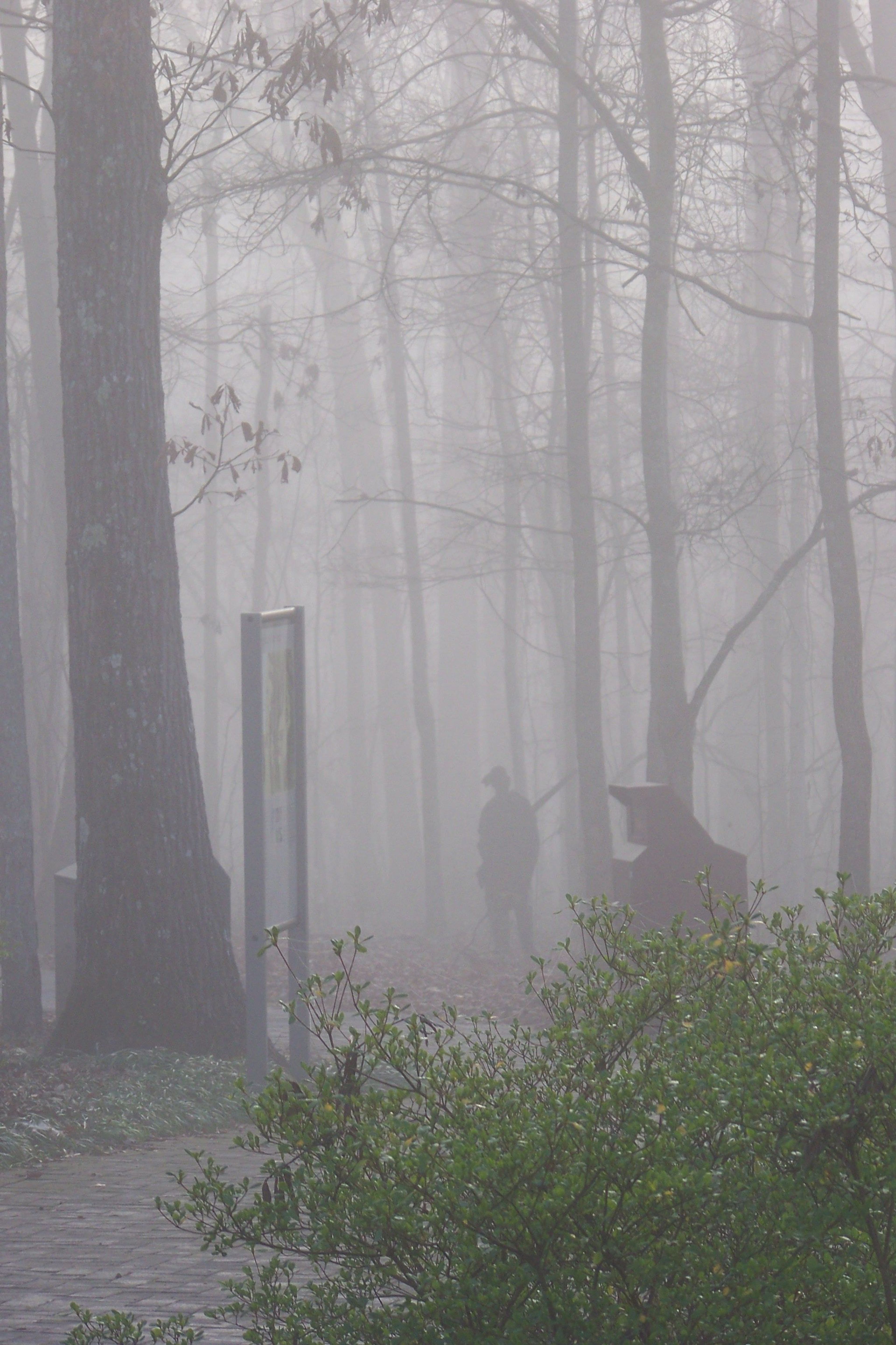 A corten steel figure of a Native American stands sentinel in the fog.