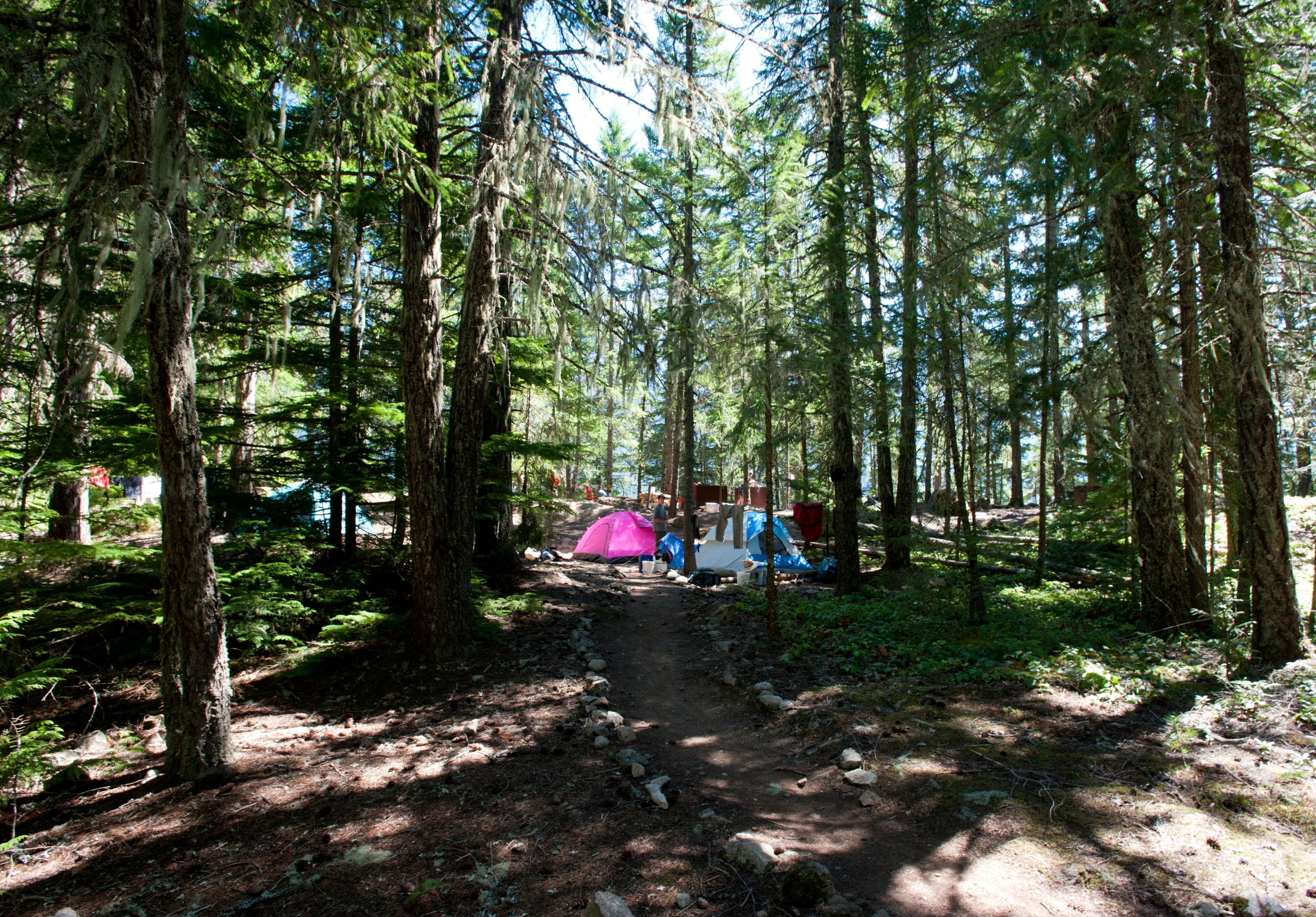 Grab your tent, your sleeping bag, and adventurous soul and camp along Ross Lake.