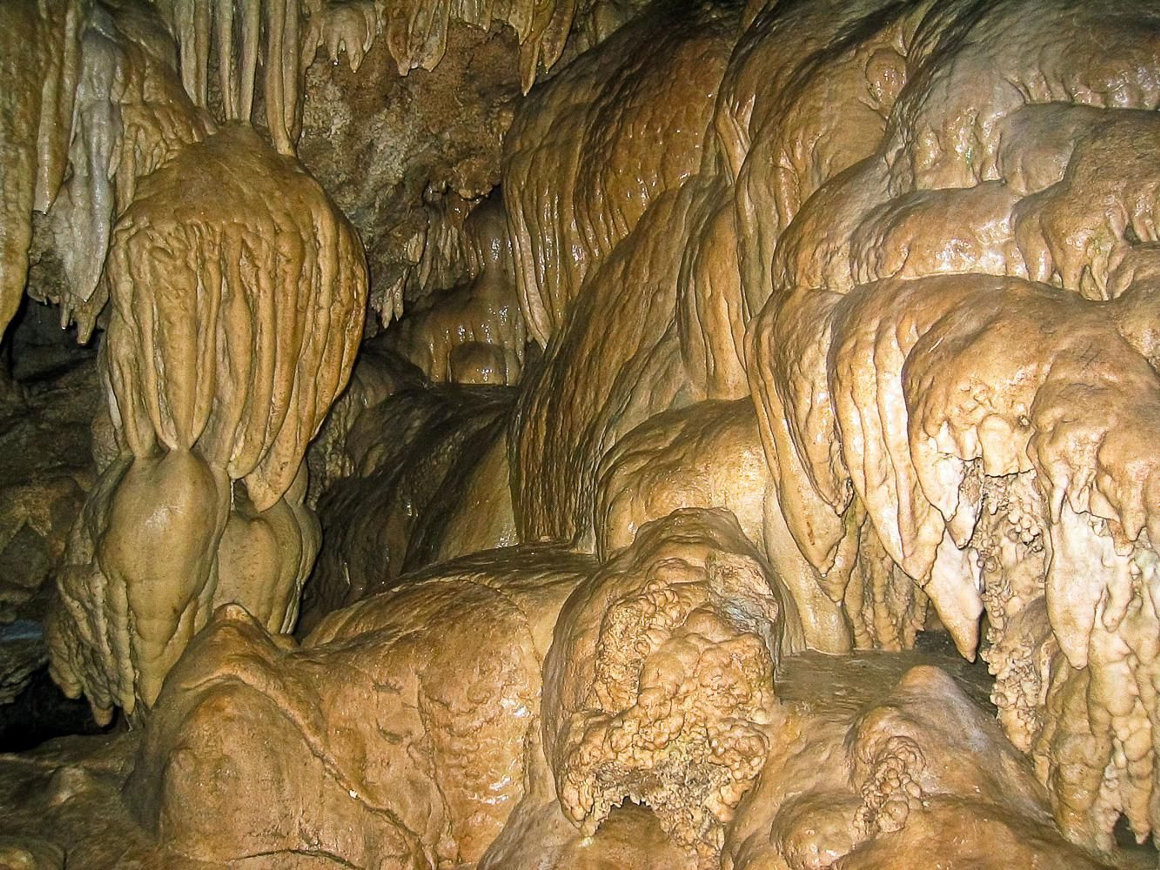 Speliothems in the Banana Grove room, Oregon Caves.