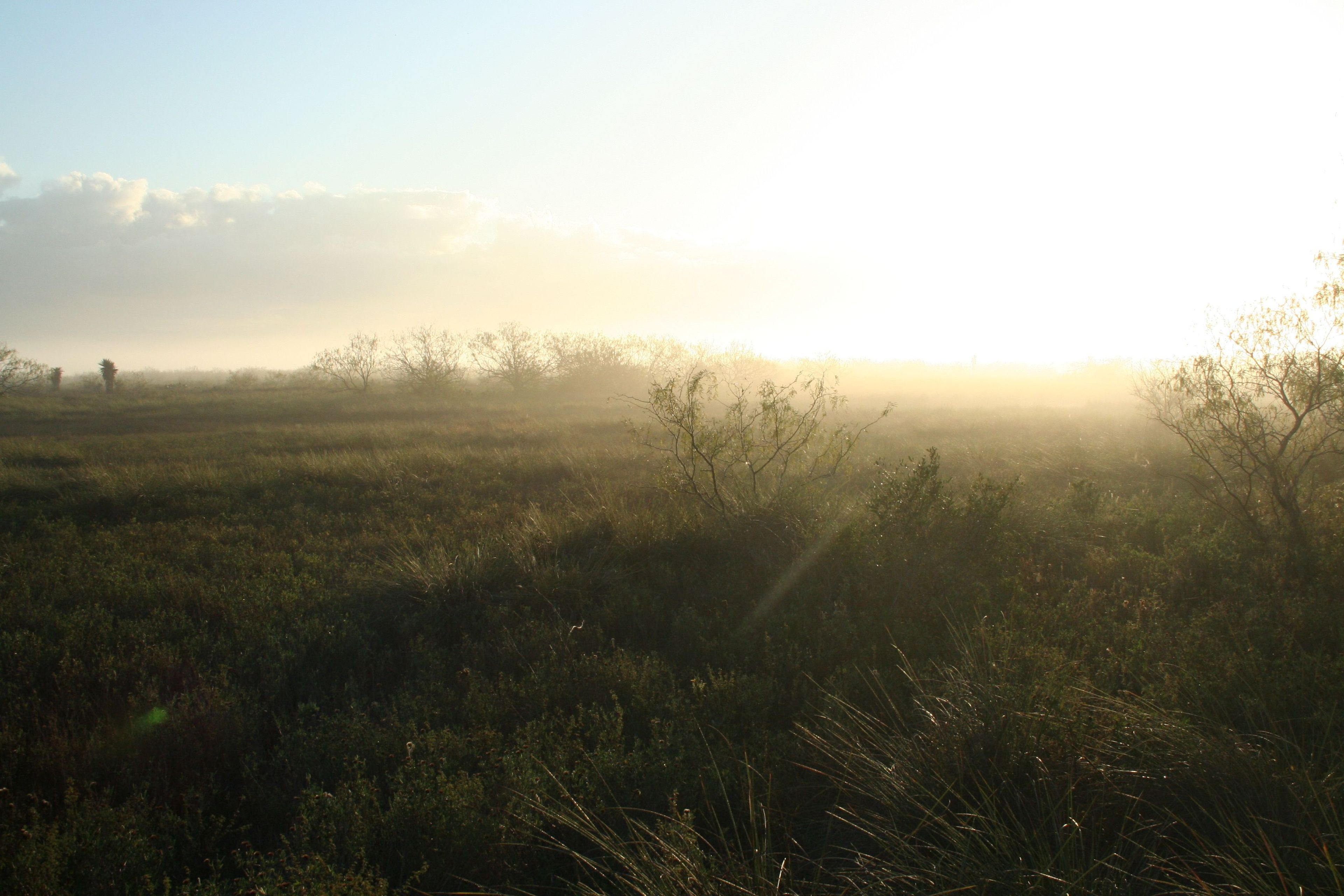 Get here when the park opens and enjoy views like this.