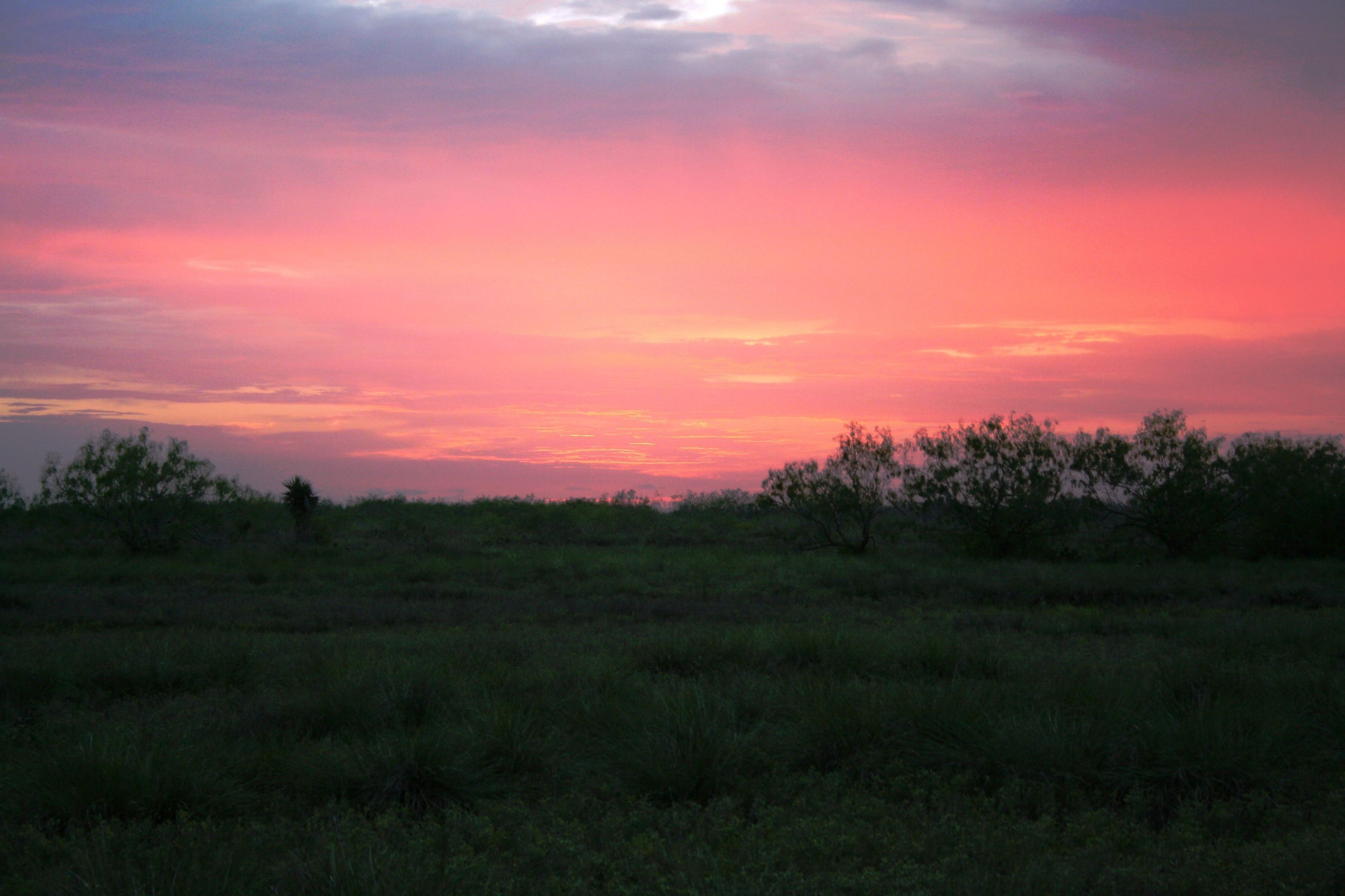 Early sunsets during winter are a sight to behold.