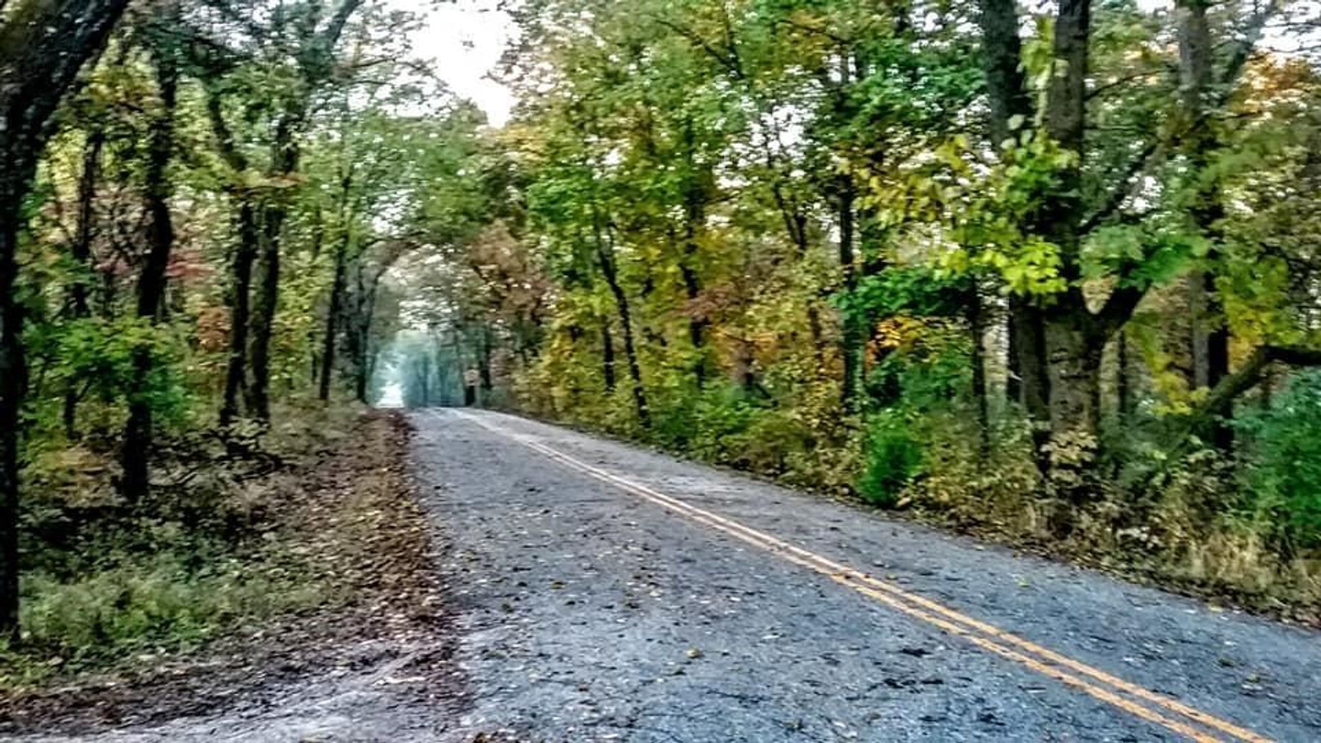 Park tour road in the fall.