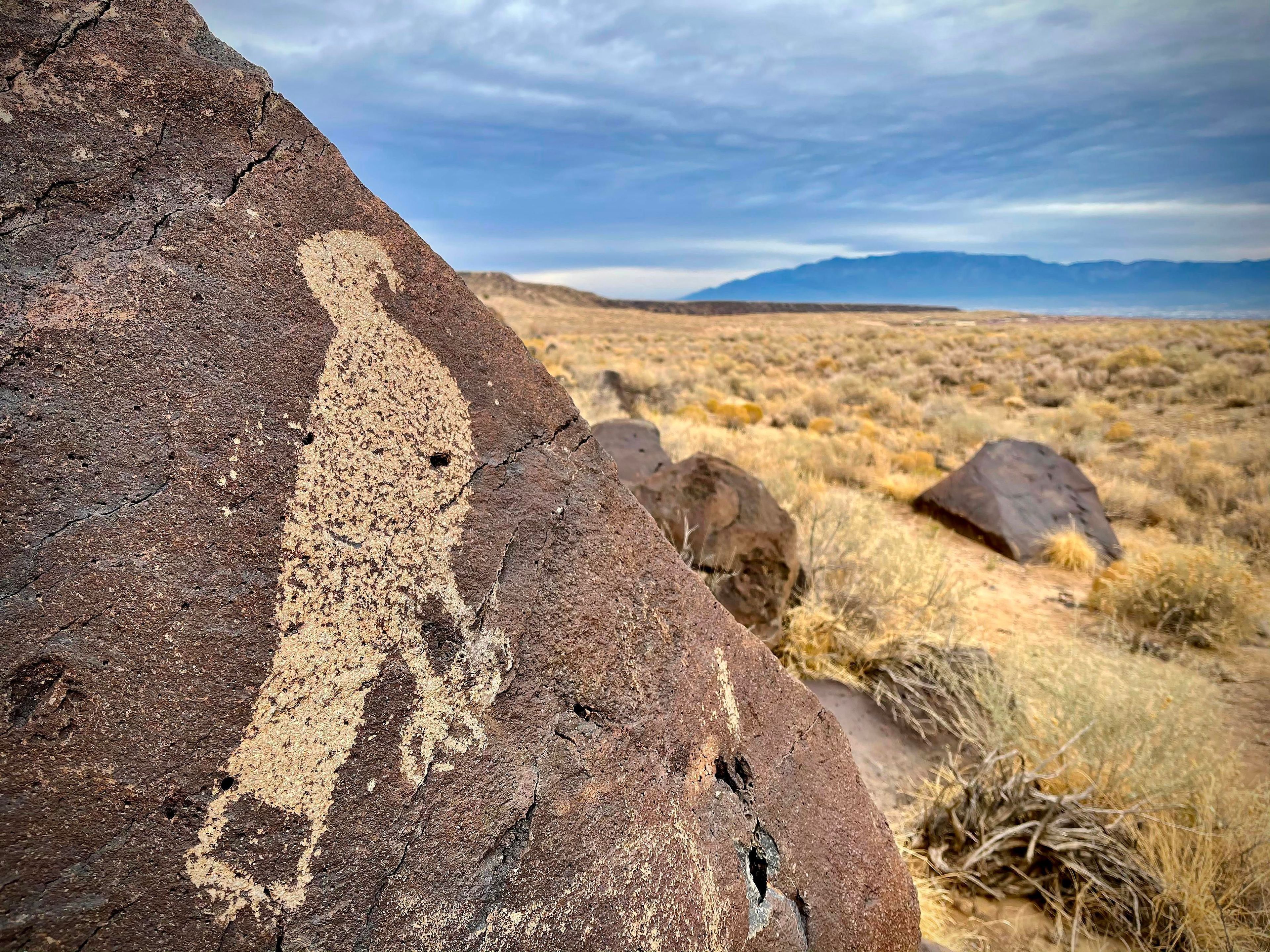 A petroglyph of a hawk at Mesa Prieta. It can be visited from the South Point trailhead.