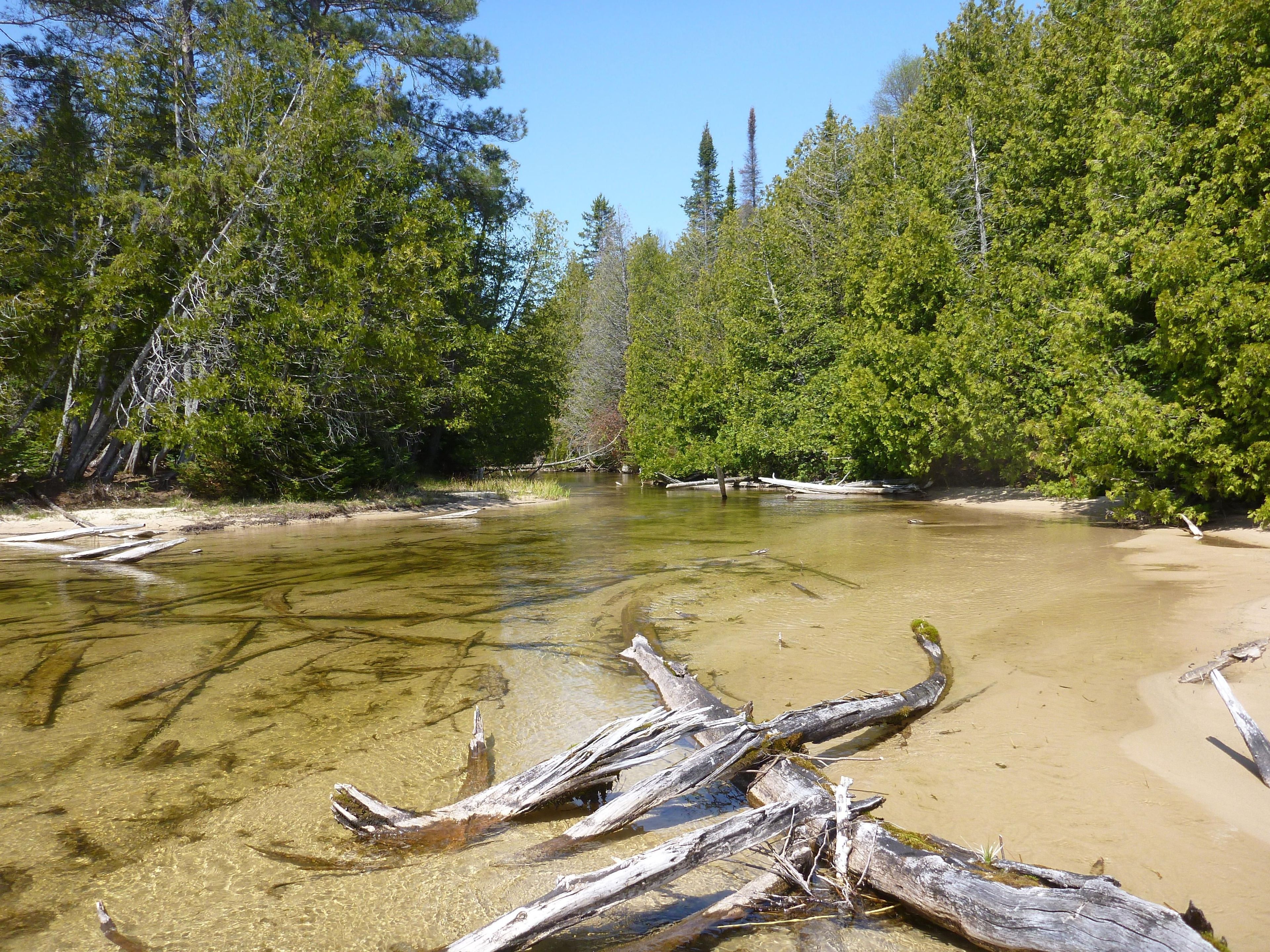 Shallow creek in the Beaver Basin Wilderness