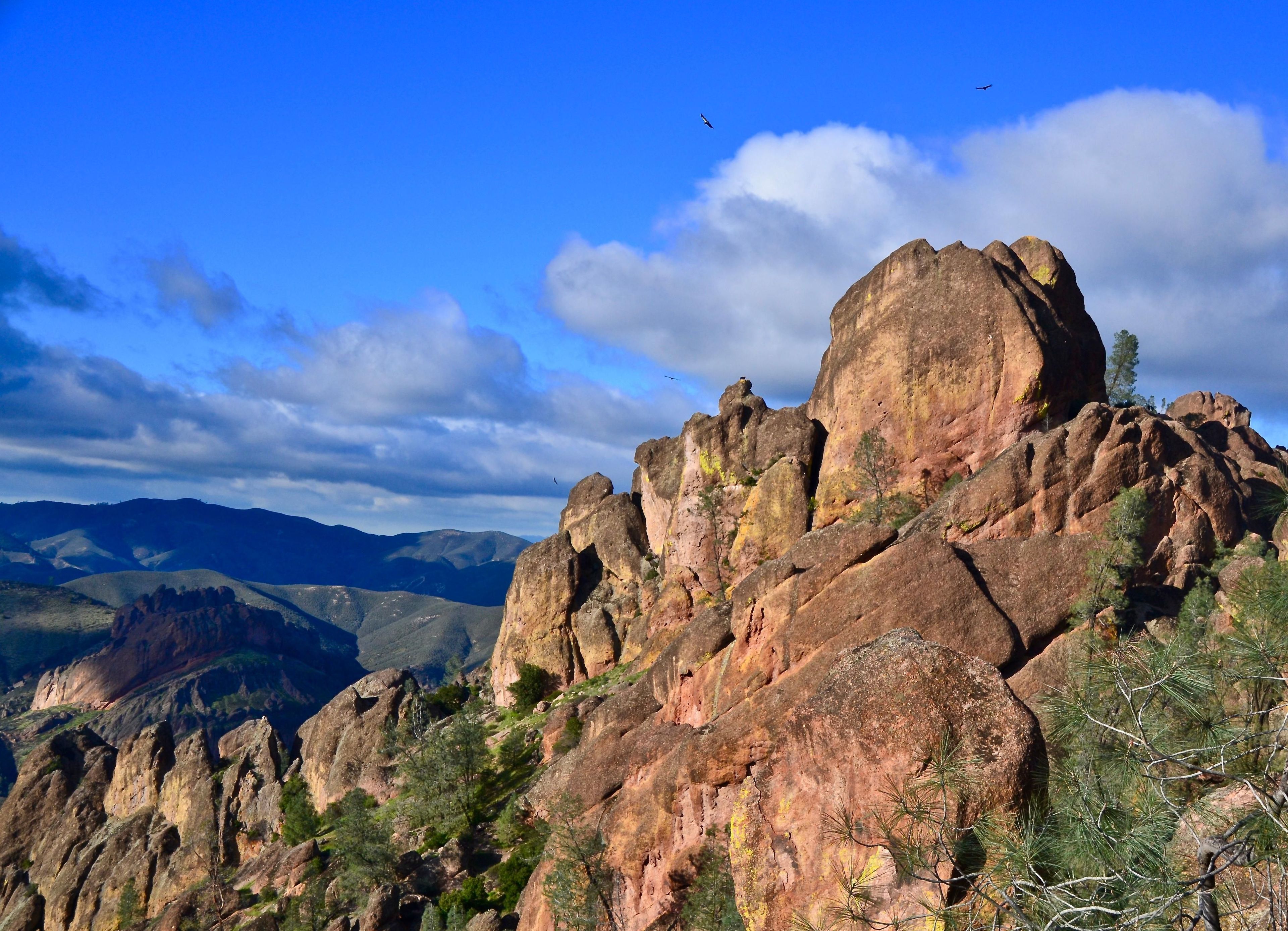 The best views of Pinnacles' rocks can be enjoyed from the west side with almost no effort required.