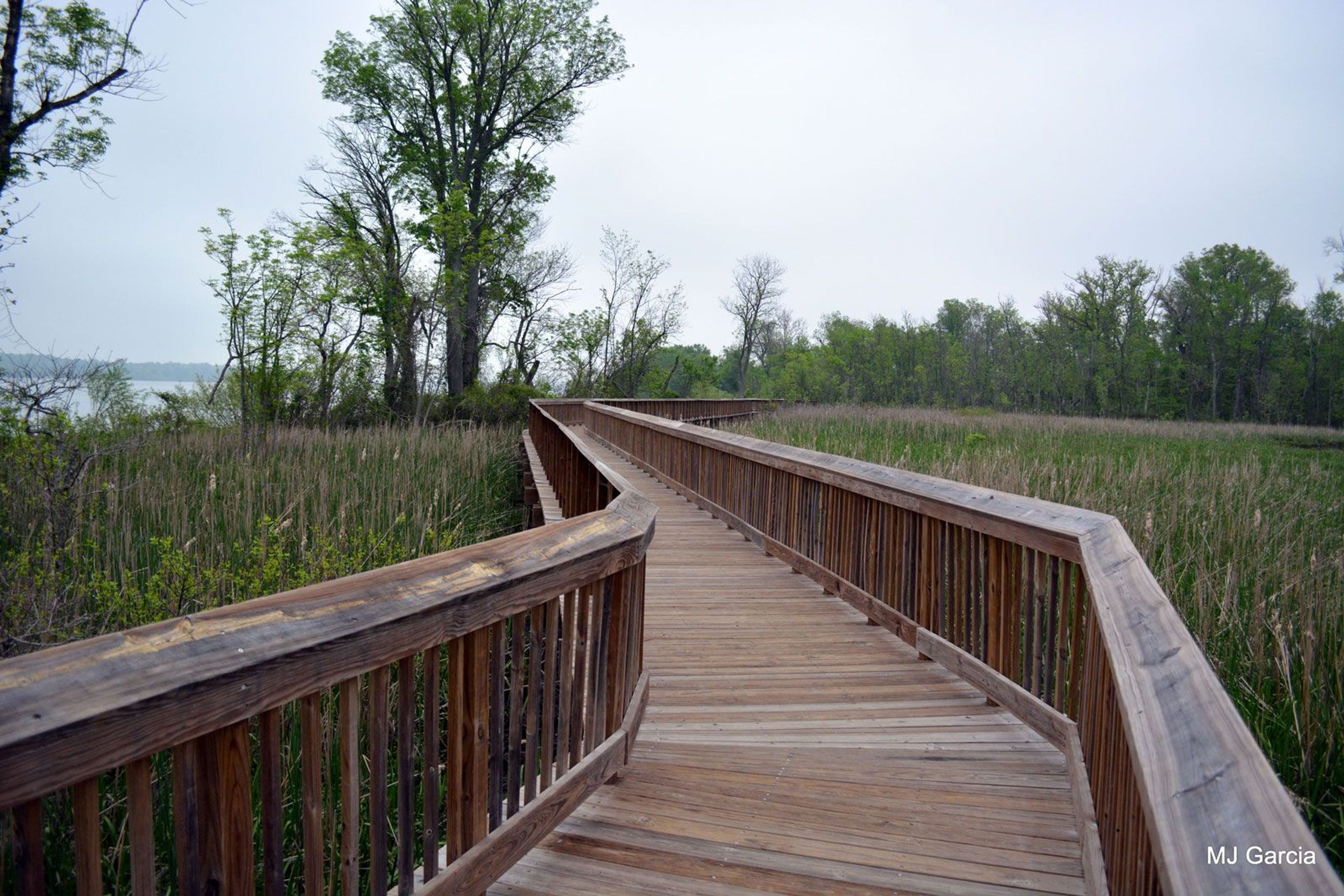 Boardwalk over Accokeek Creek.