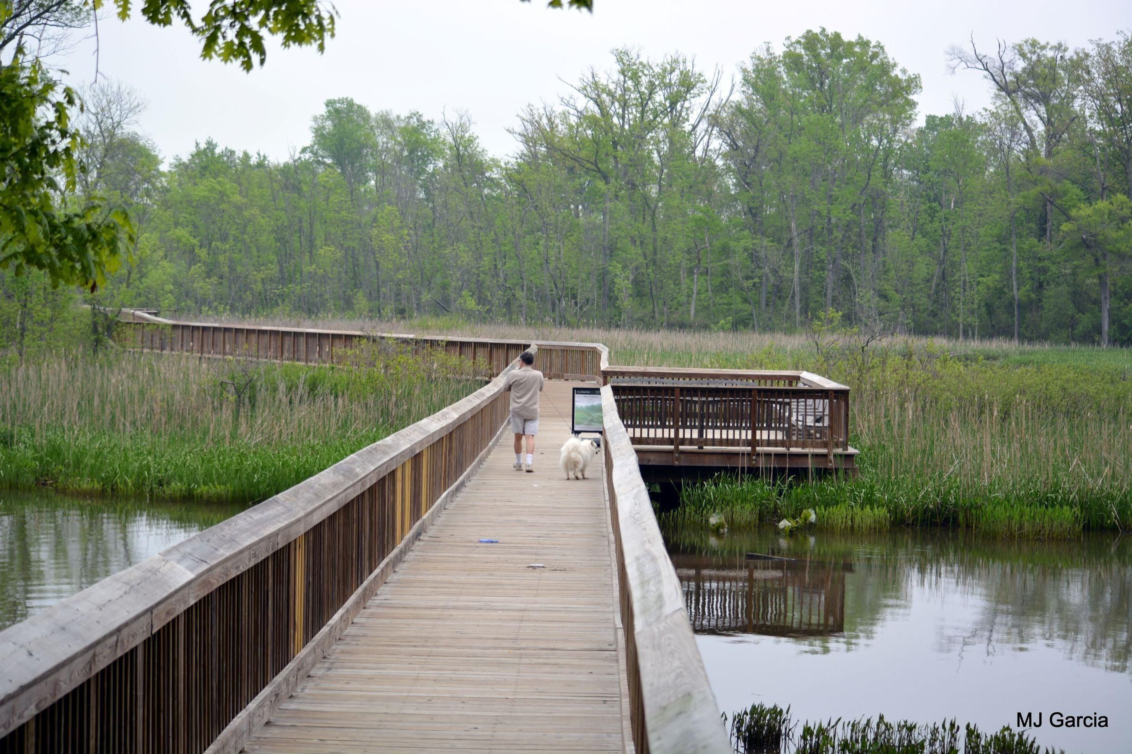 Accokeek Boardwalk in the summer