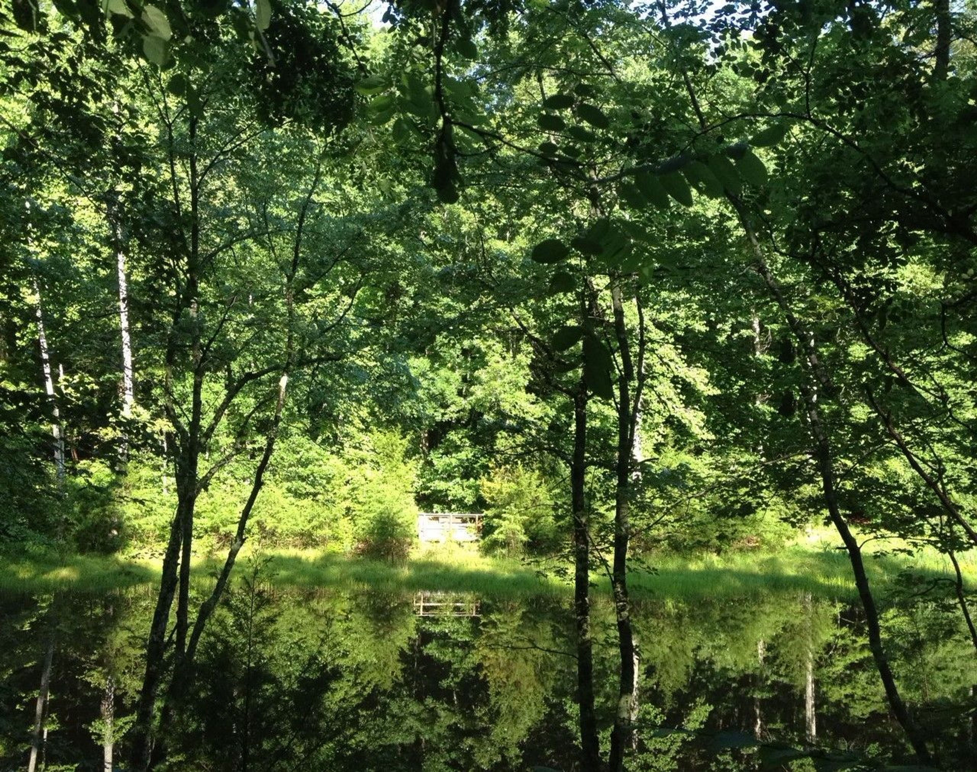 Carter Pond is a great place to fish.