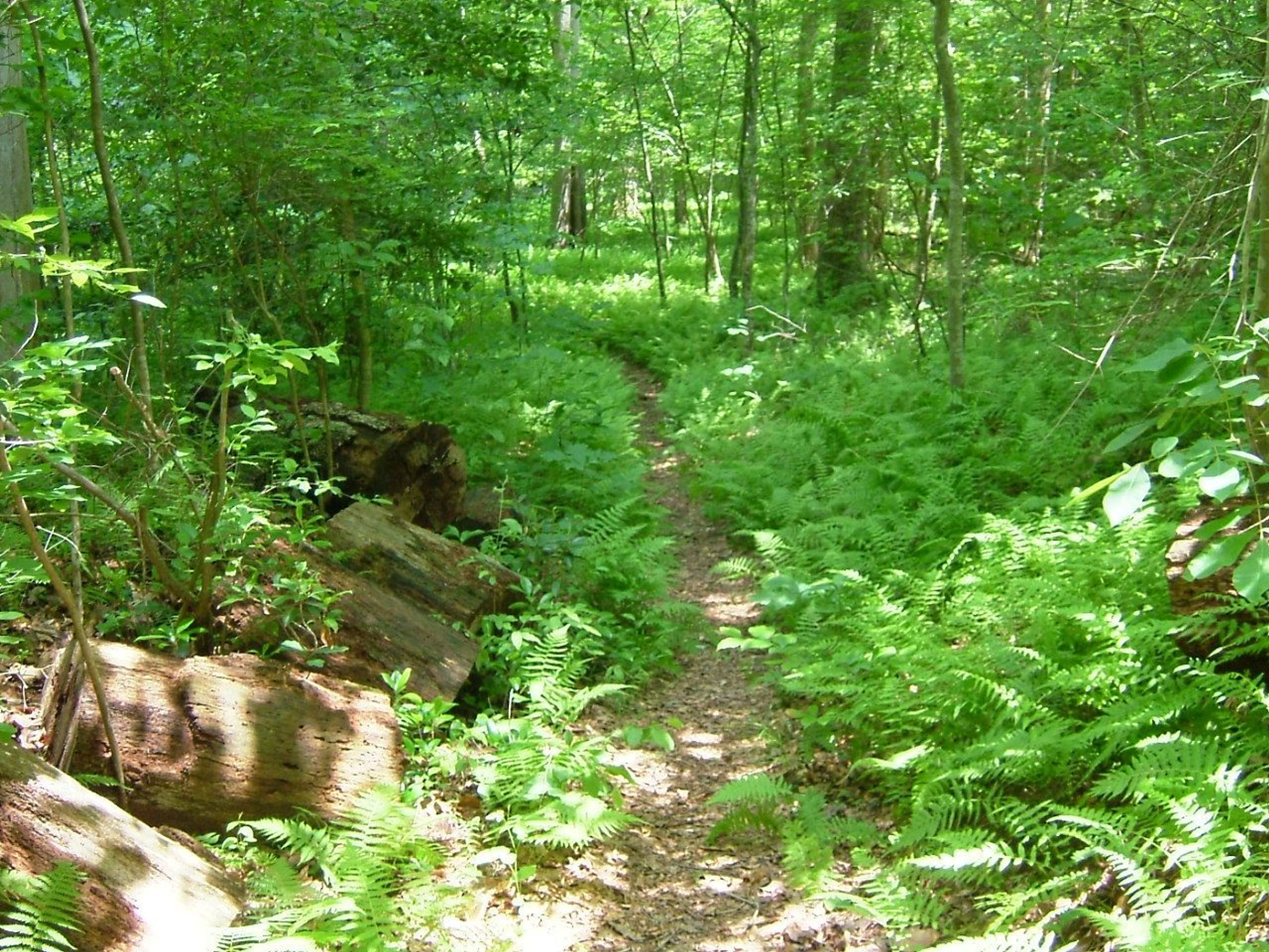 The Farms to Forest Trail is a favorite among visitors.