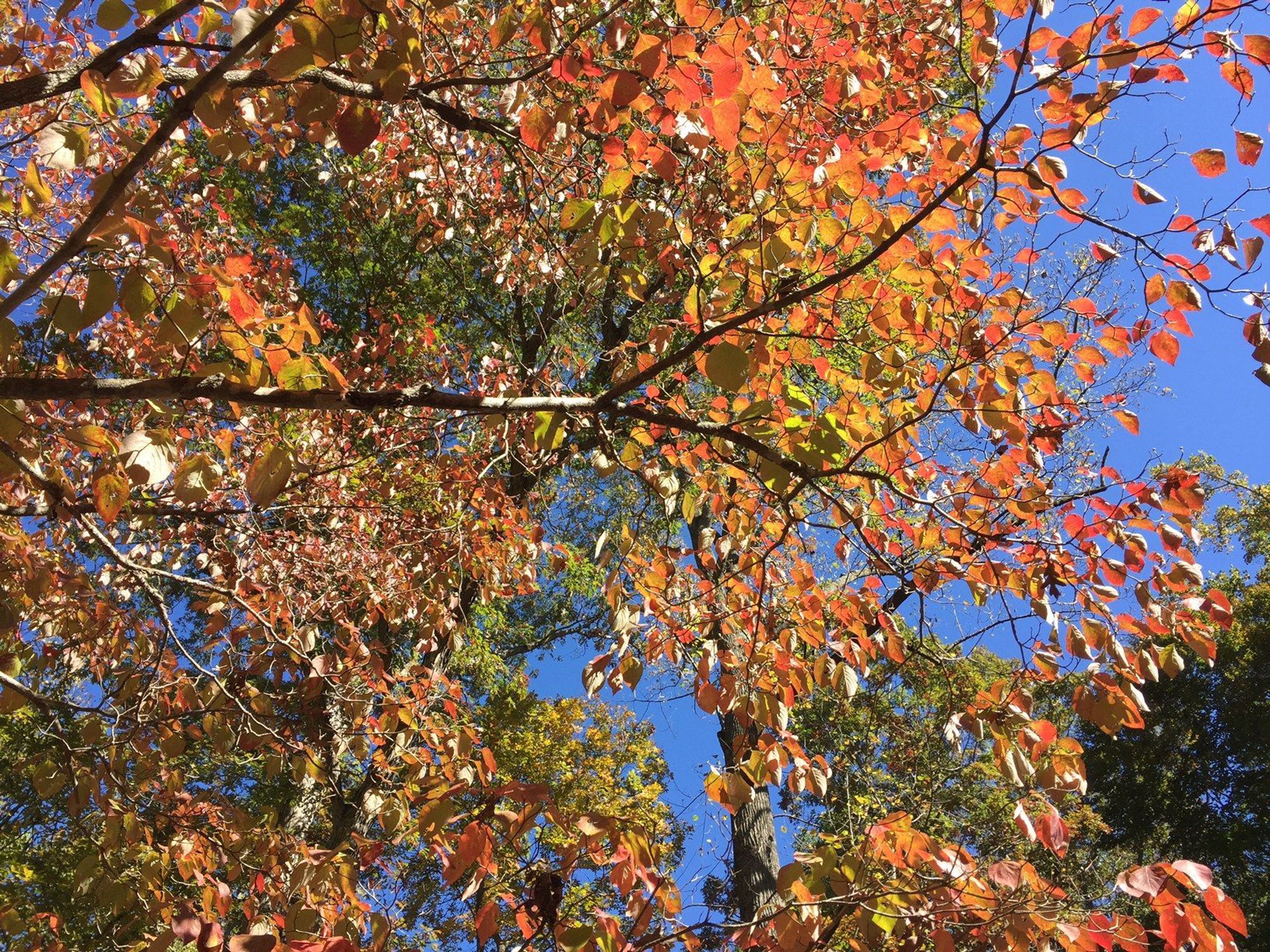 Fall is a beautiful time of year in the park.