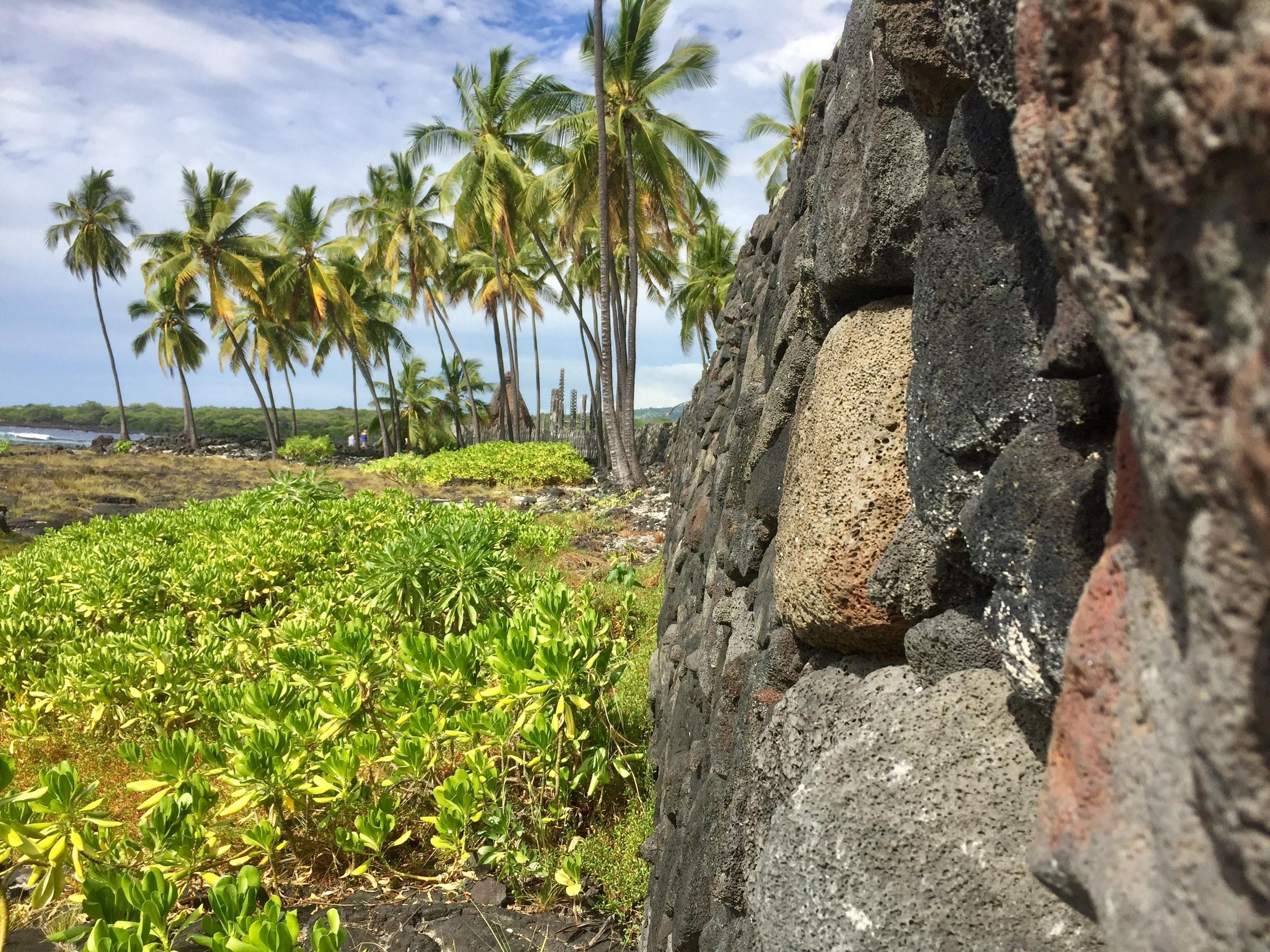 The Great Wall separates the Royal Grounds from the Puʻuhonua and demonstrates the impressive Hawaiian dry stacked masonry technique.