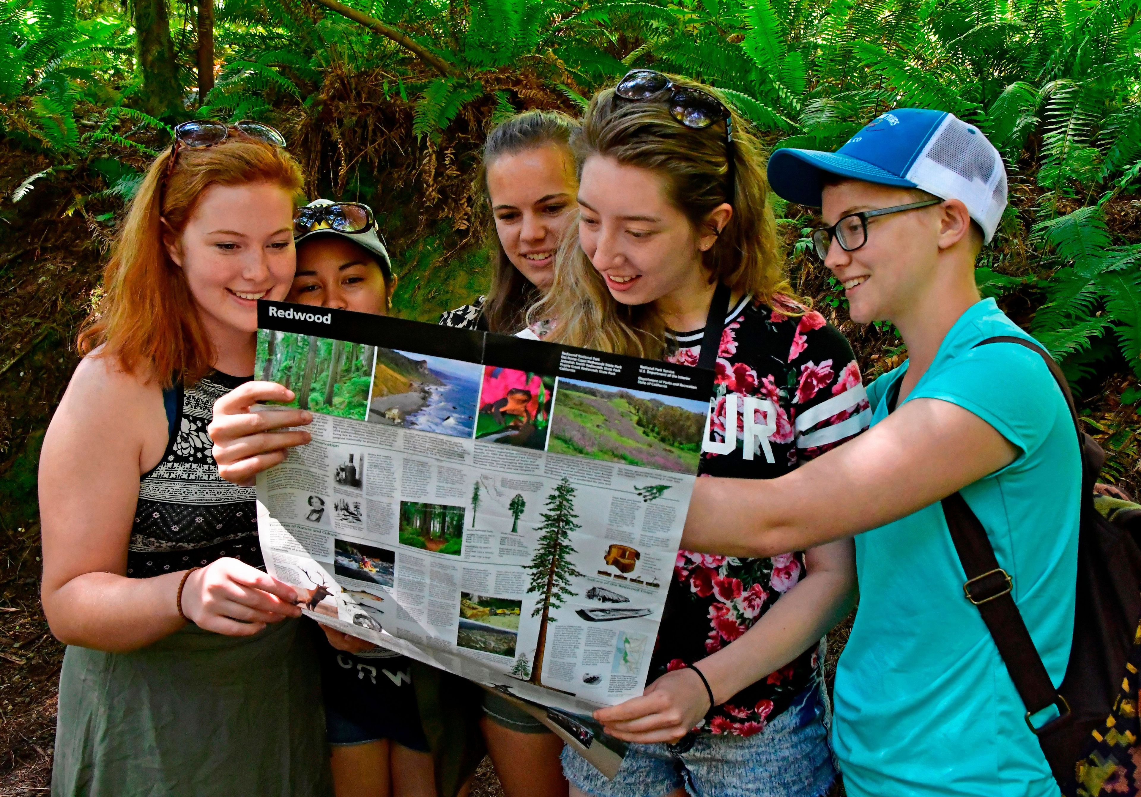 A great redwood trip starts with good trip planning.