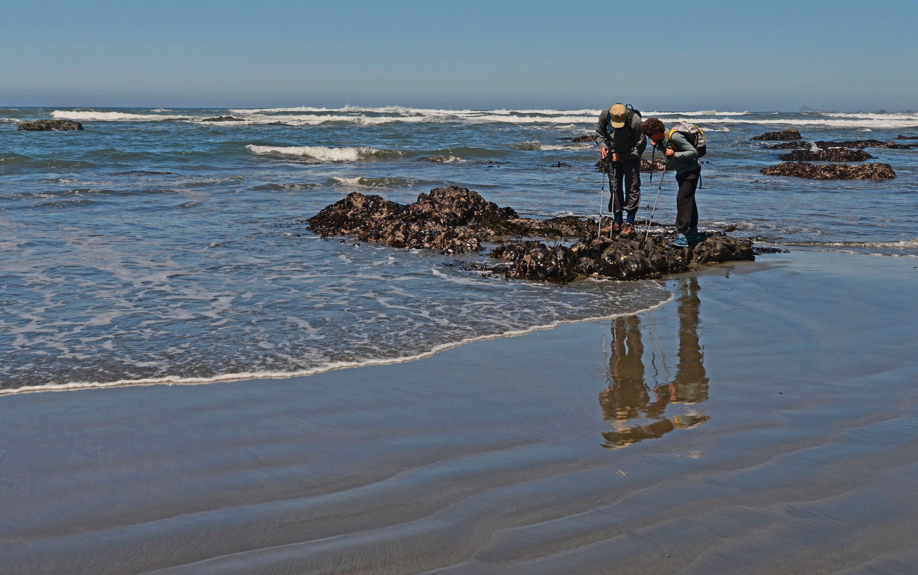 We have forty miles of coastline to explore.