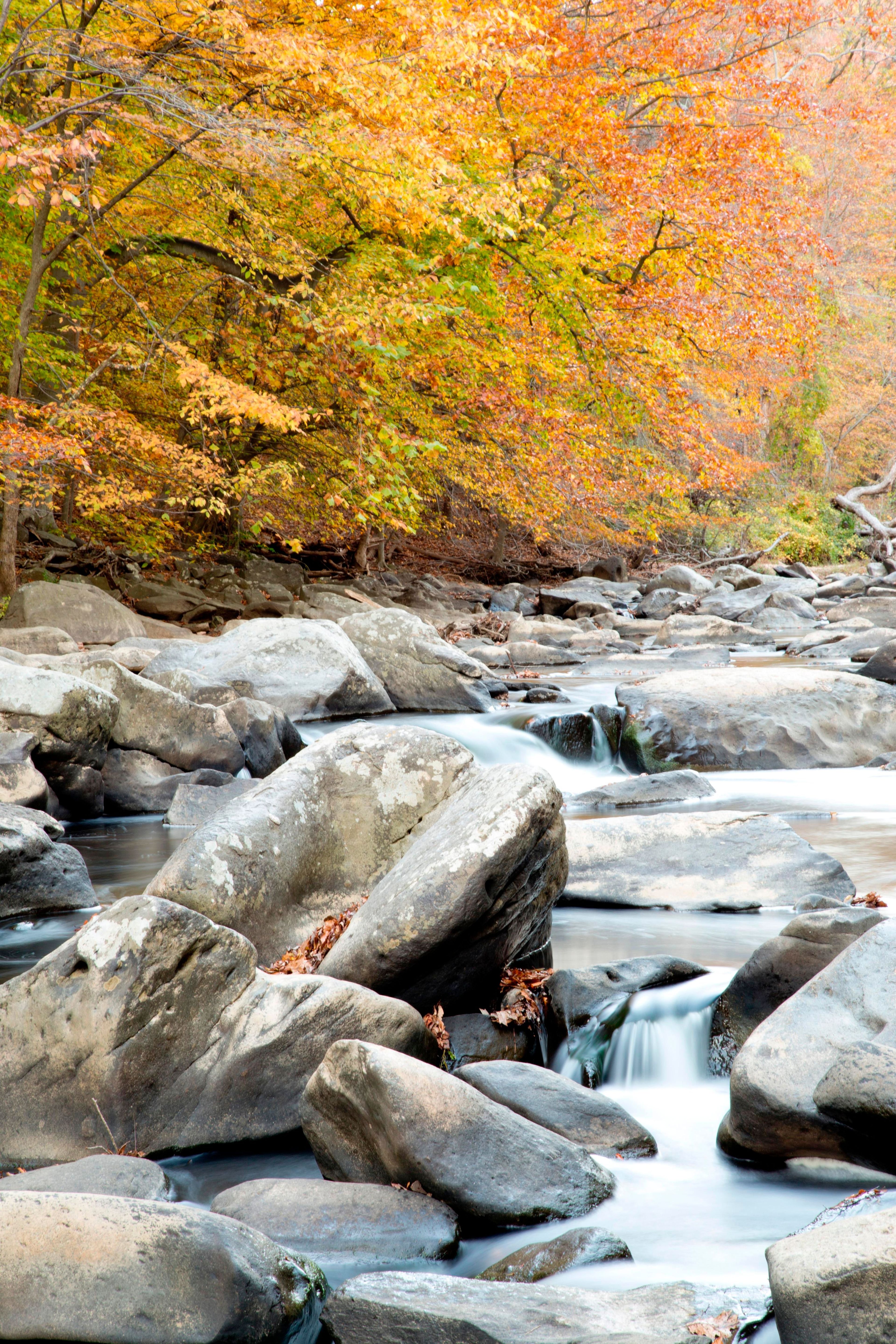 Rock Creek in Autumn