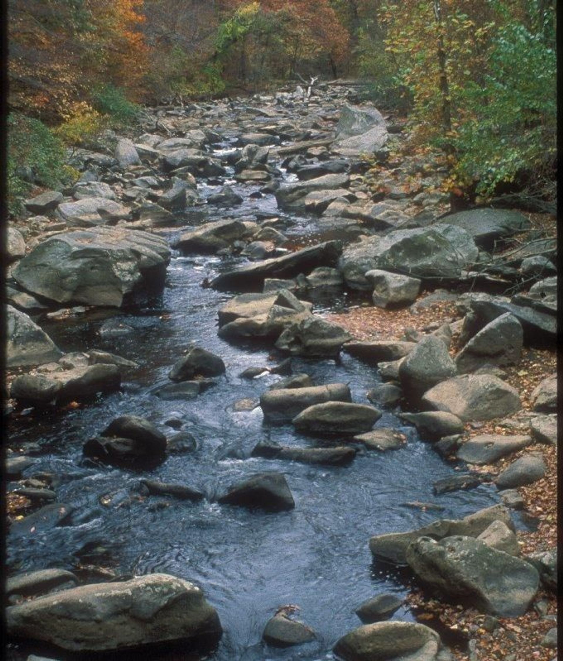 Rock Creek