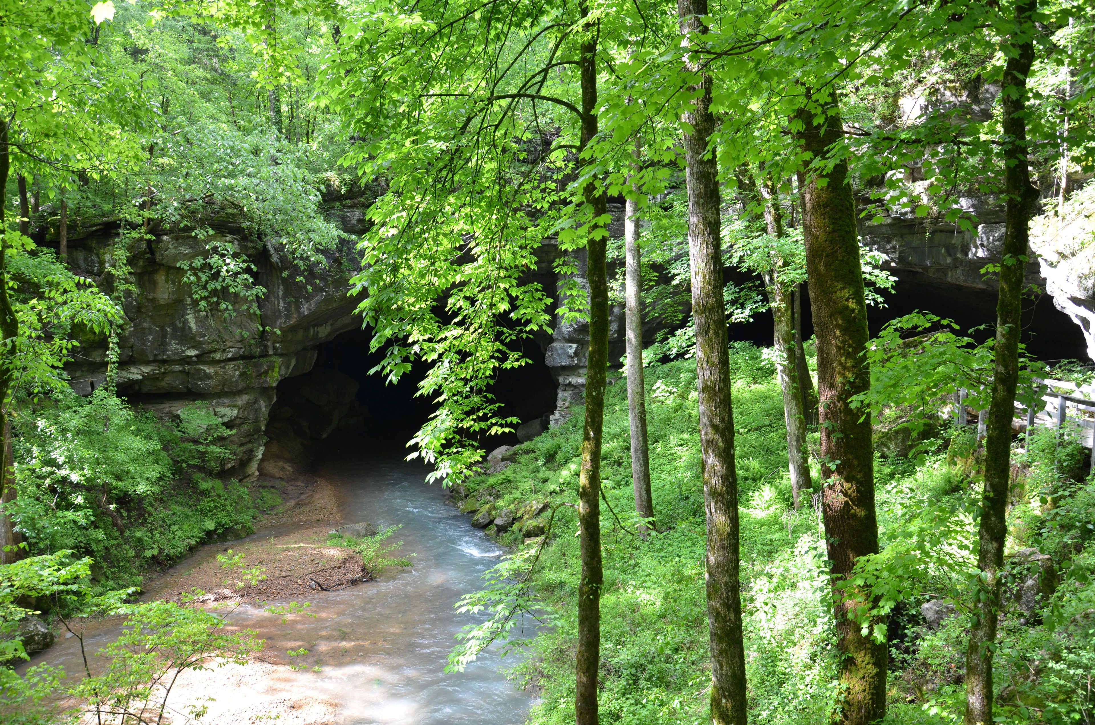 Prehistoric people continuously used Russell Cave for over 10,000 years