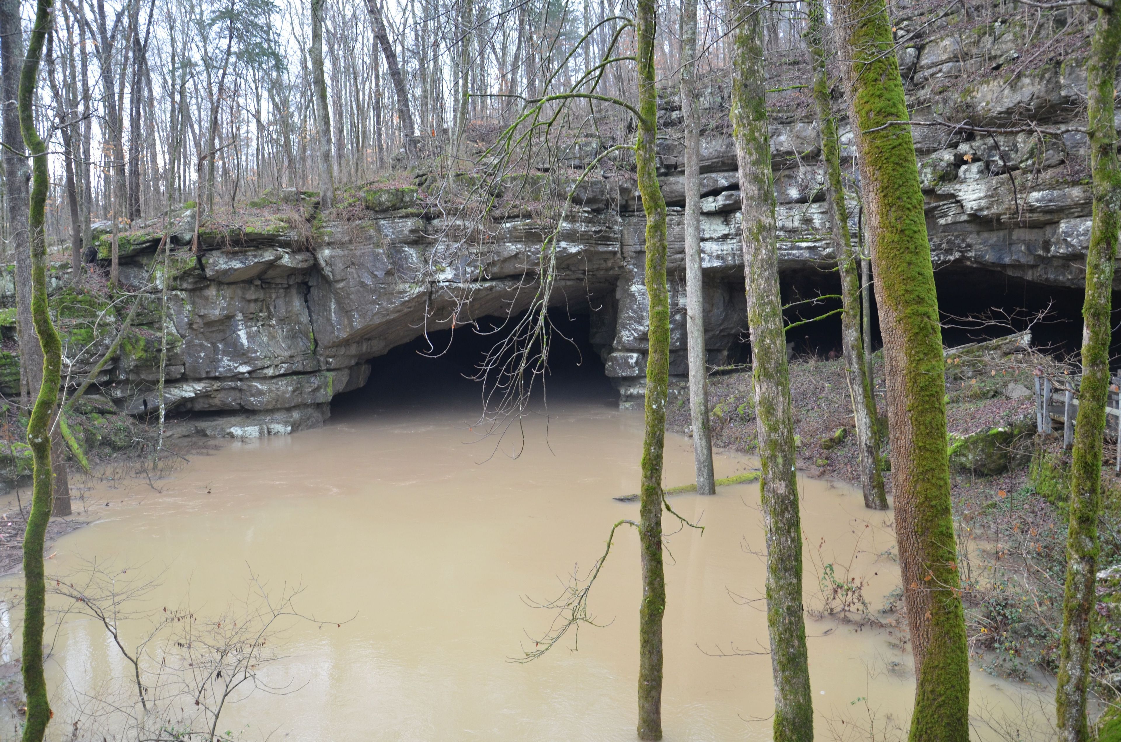 14,000 acres drain into Russell Cave