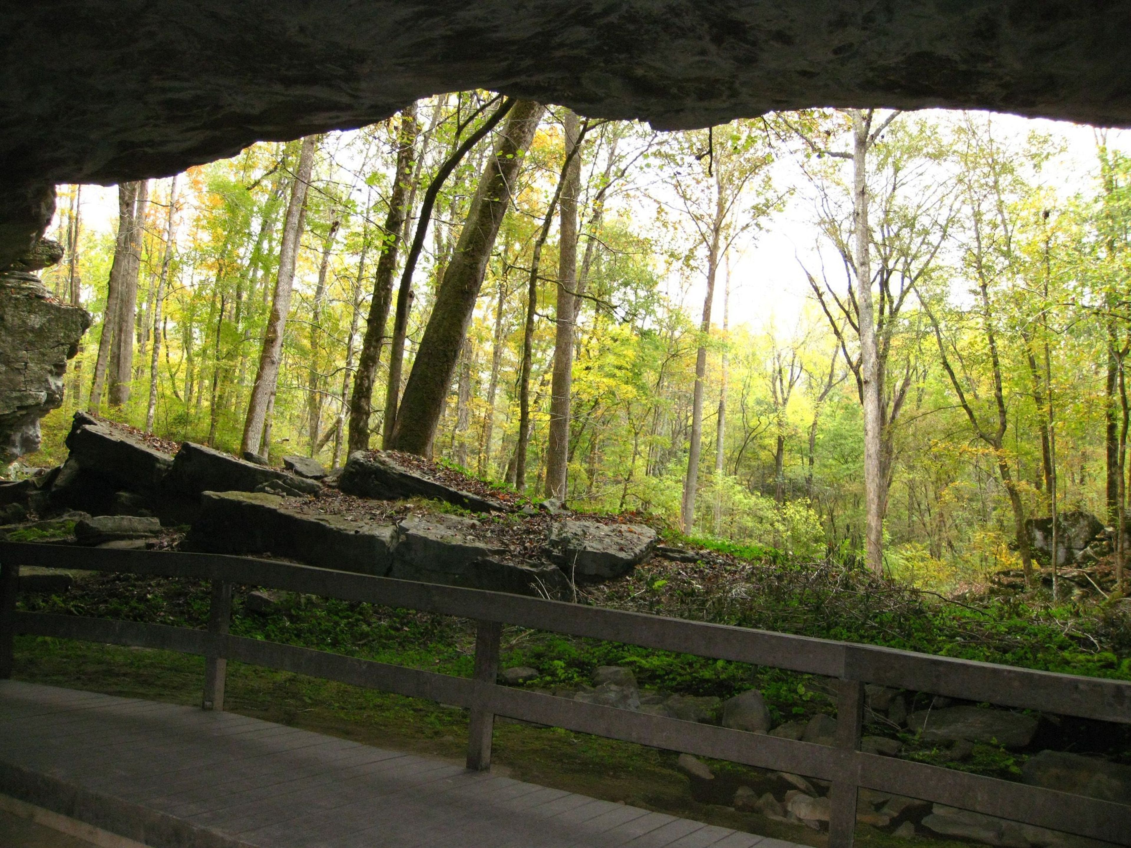 Looking out of the cave shelter in the fall