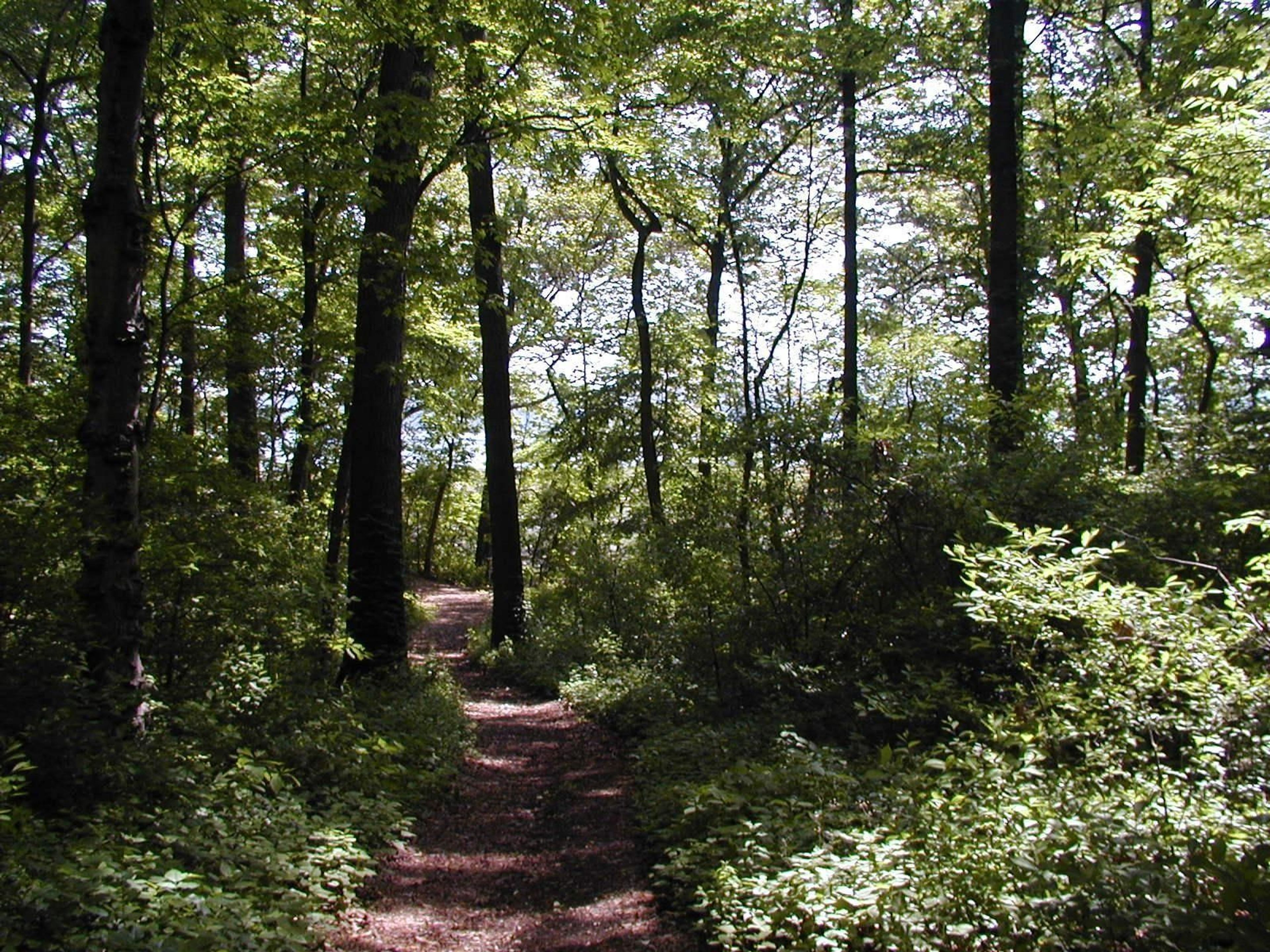 Walk the grounds and explore the place the Roosevelt family called home.