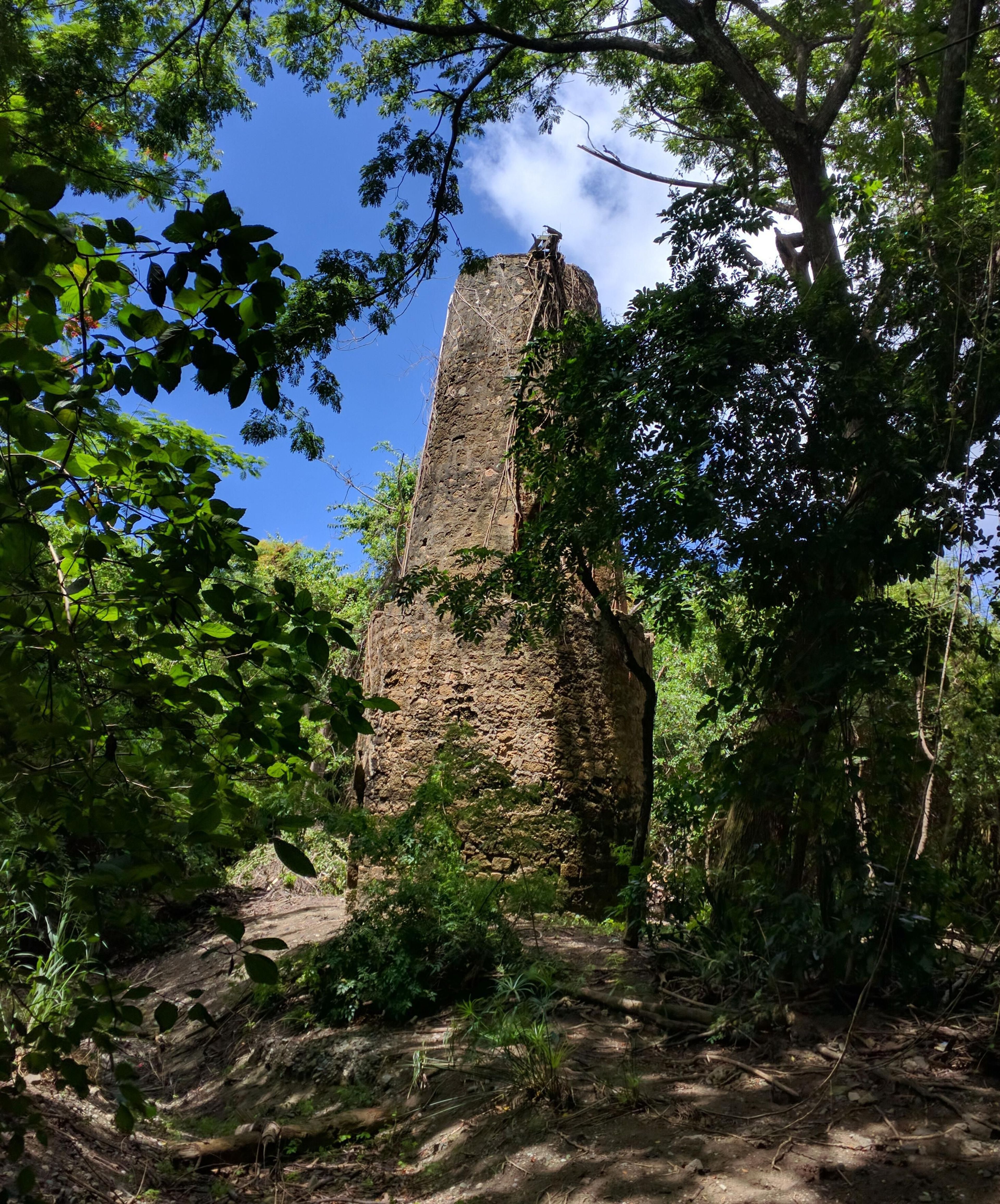 This brick and coral block masonry tower, built in the 1790s, used the power of wind to move water from Salt River to neighboring plantation estates.