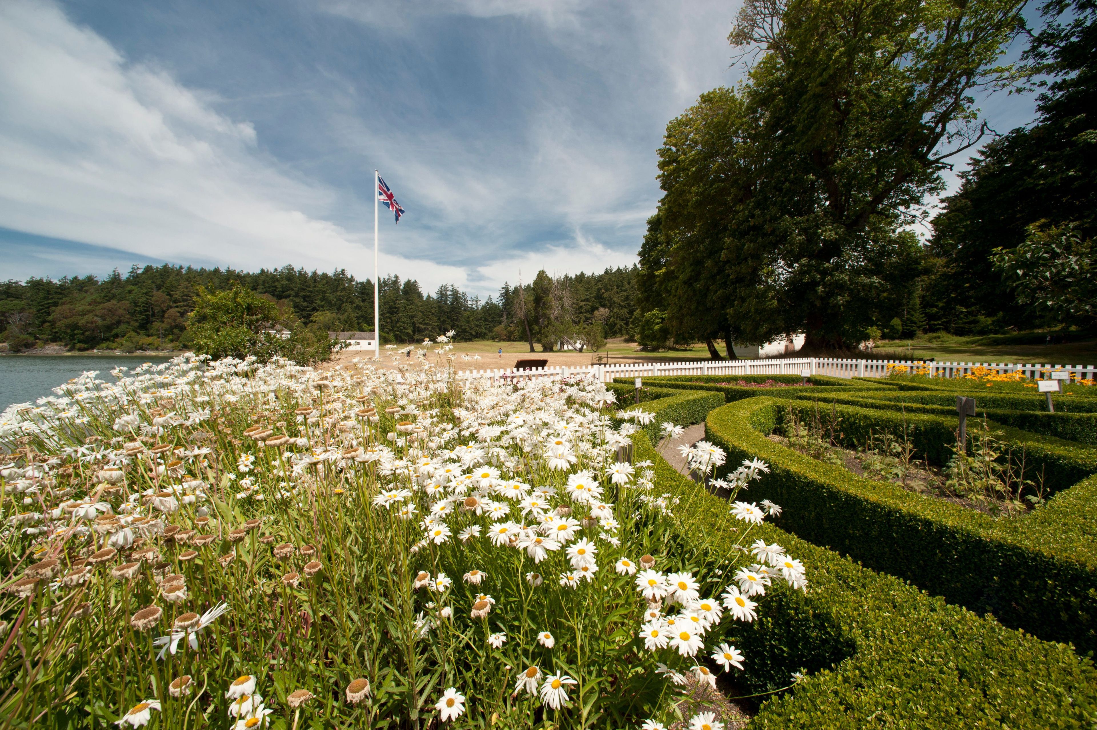 The formal garden in bloom