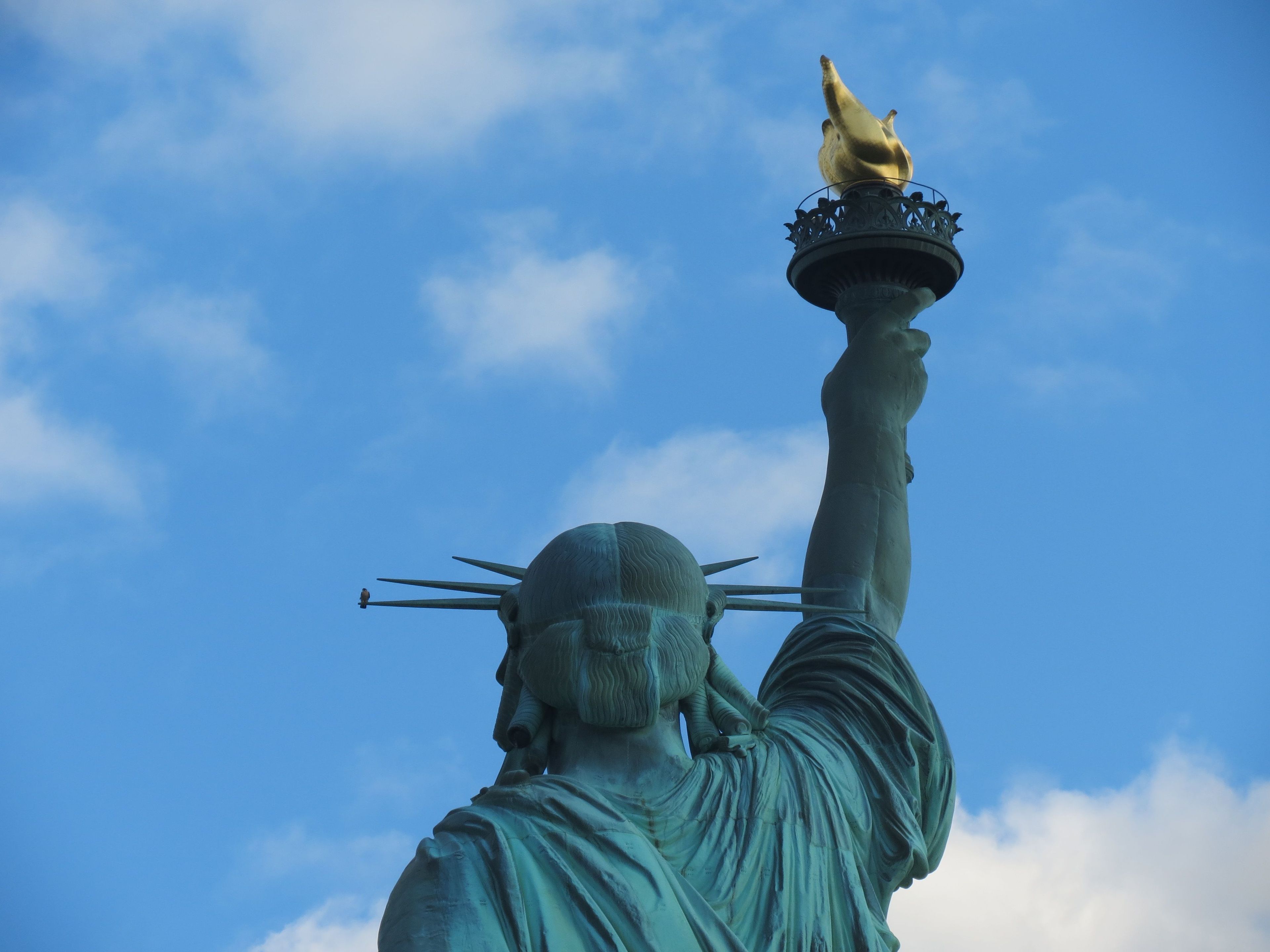 Millions visit the Statue of Liberty each year, but only a select few, like this peregrine falcon perched on the left-most ray, enjoy the view from above the crown.