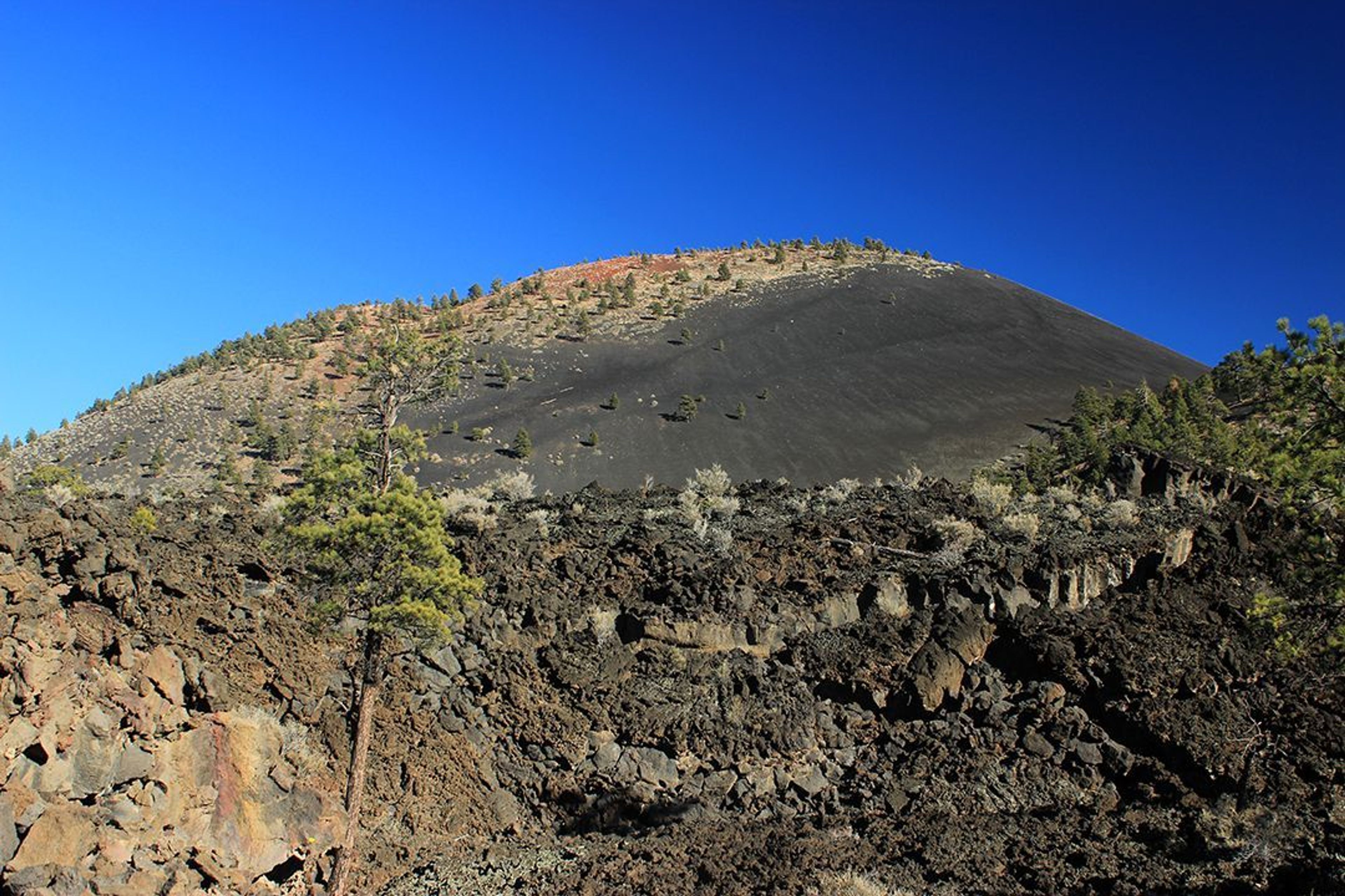 Three trails allow visitors to explore the Bonito Lava Flow.