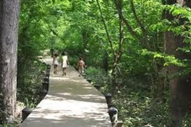 Hike the trails throughout Theodore Roosevelt Island for a grand adventure.