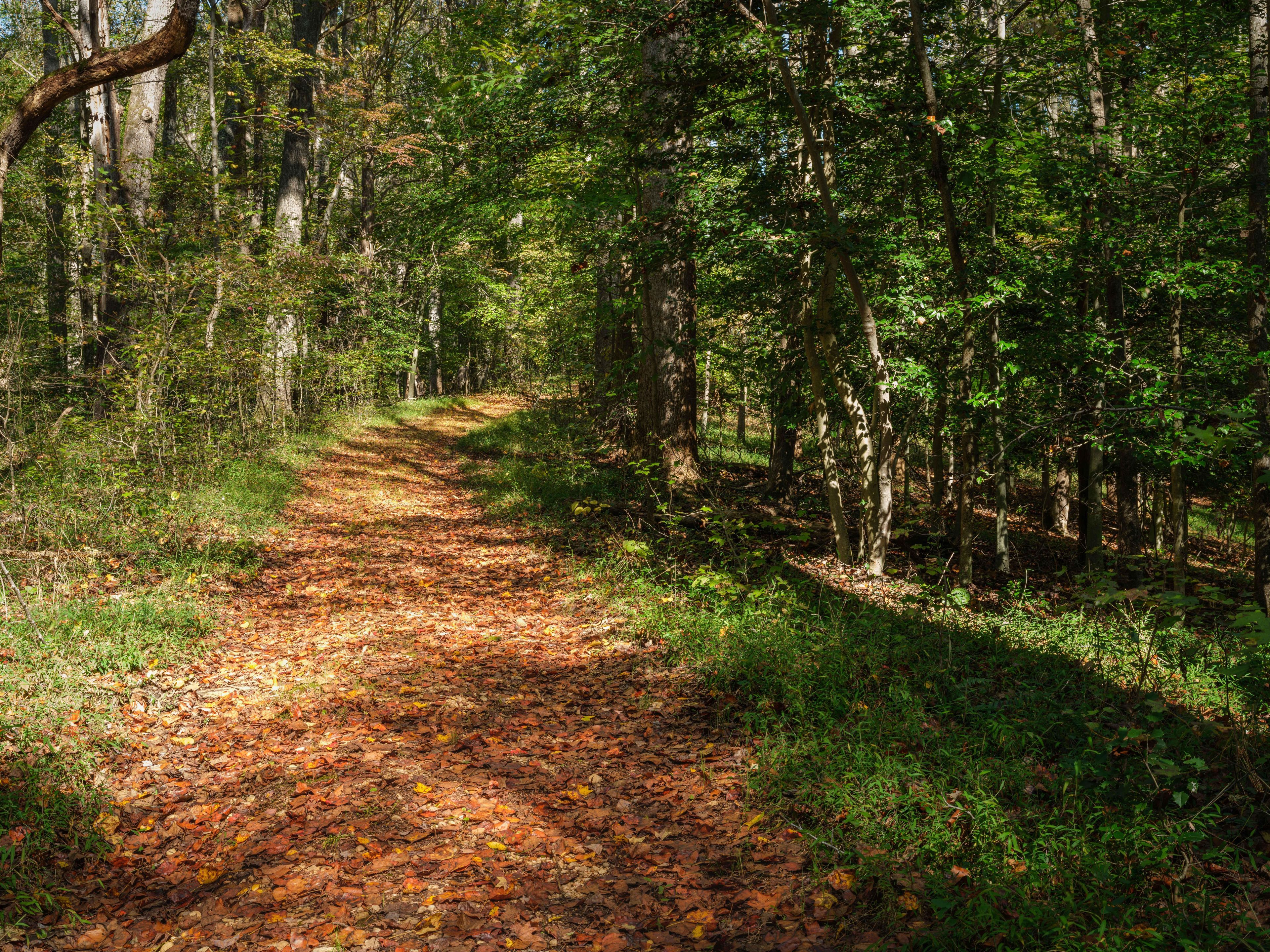 Nature Trail System