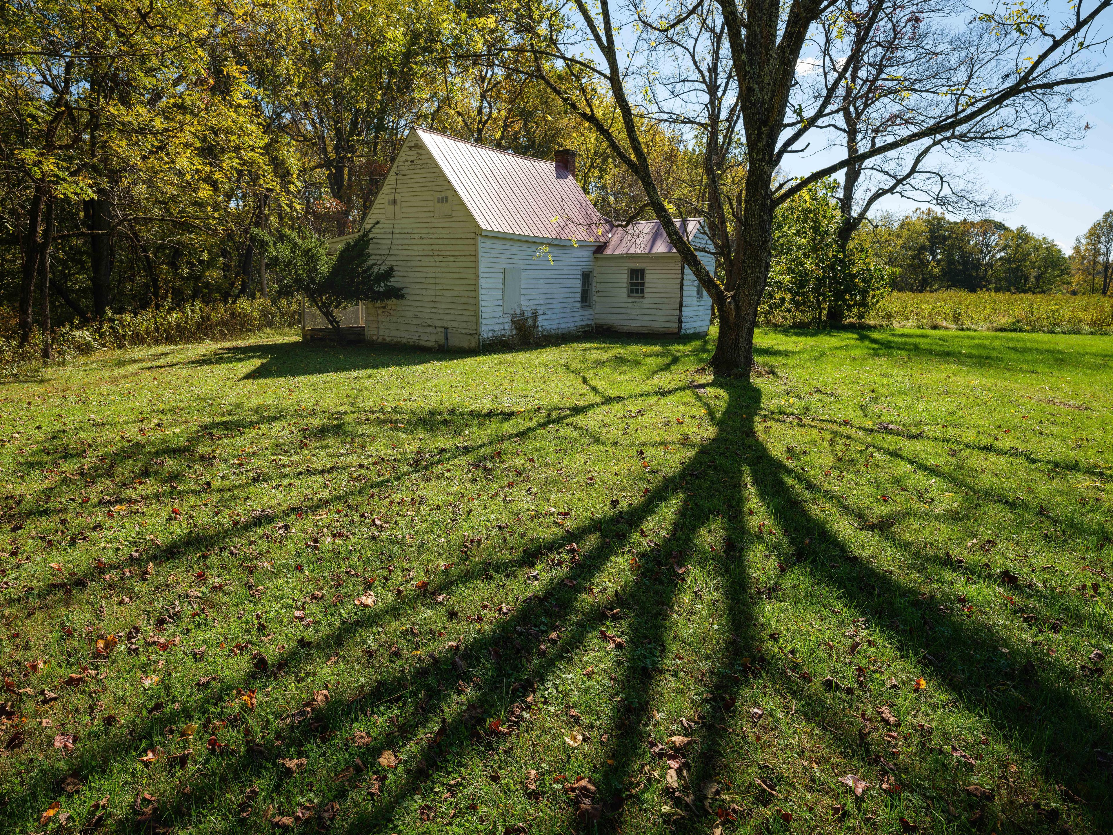 Tenet House