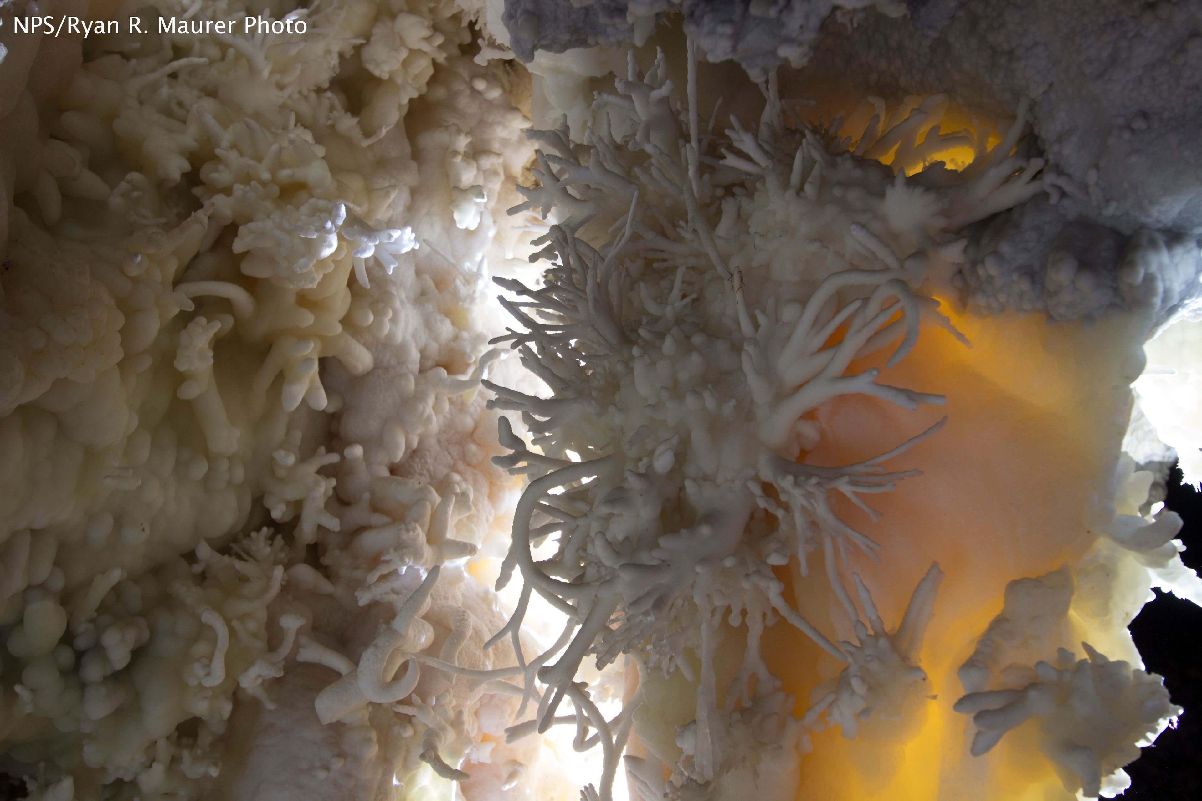 Timpanogos Cave is filled with twisting helictites and other beautiful formations