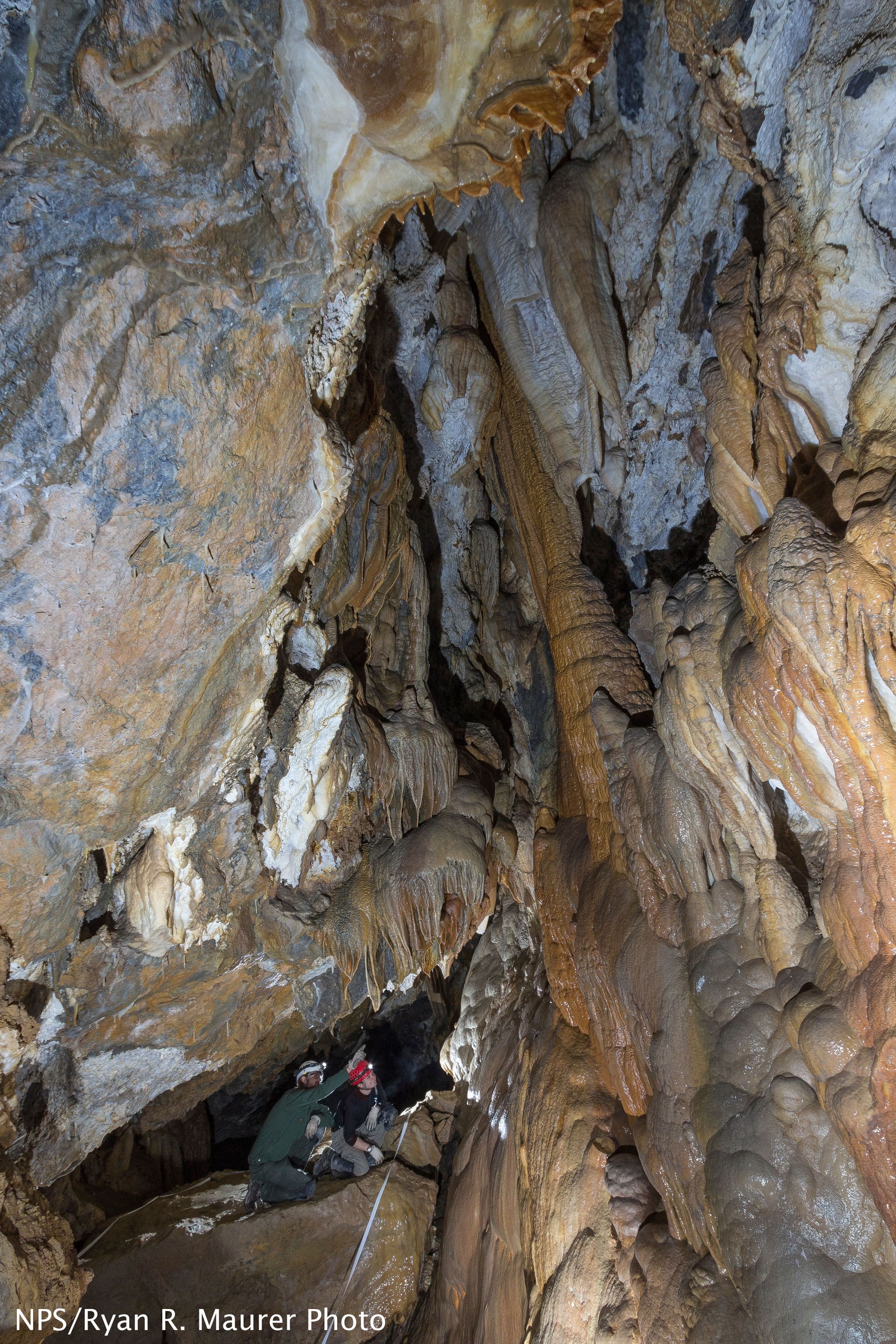 Cavers on the Introduction to Caving Tour admire magnificent formations.