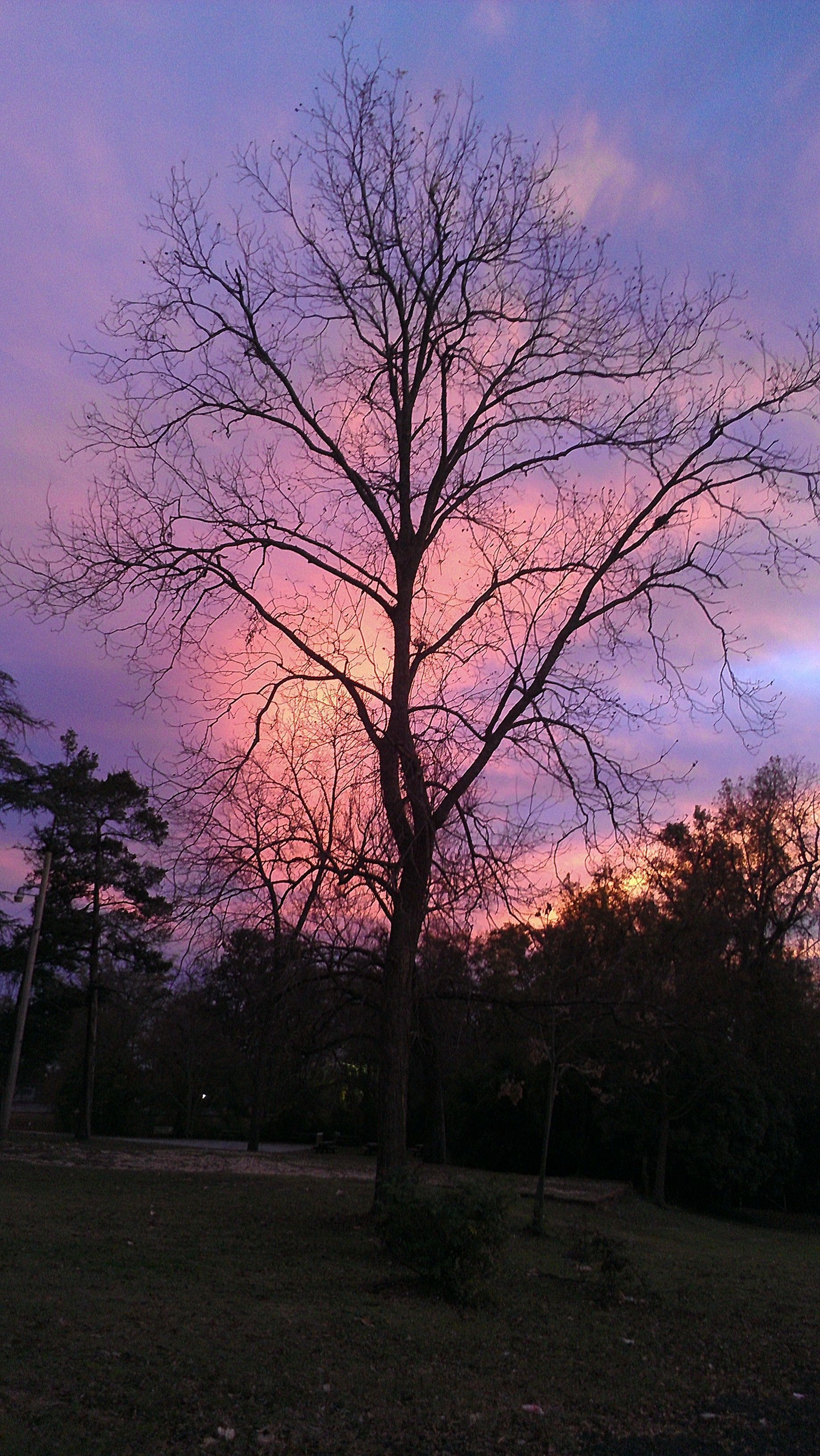 As the the sun sets behind The Oaks, the beauty of the Tuskegee sky shines through.