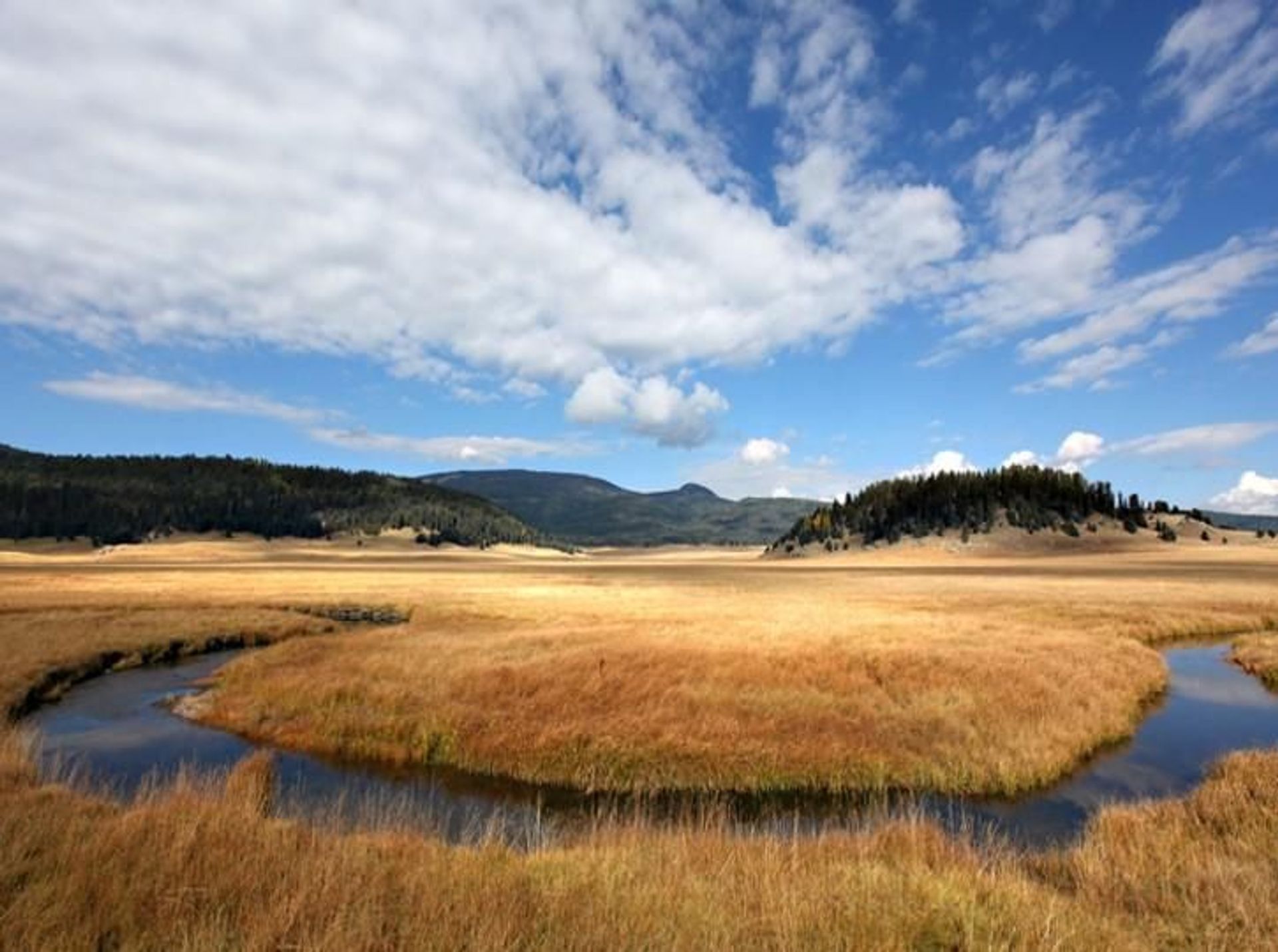 The views of Valles Caldera are some of nature's best