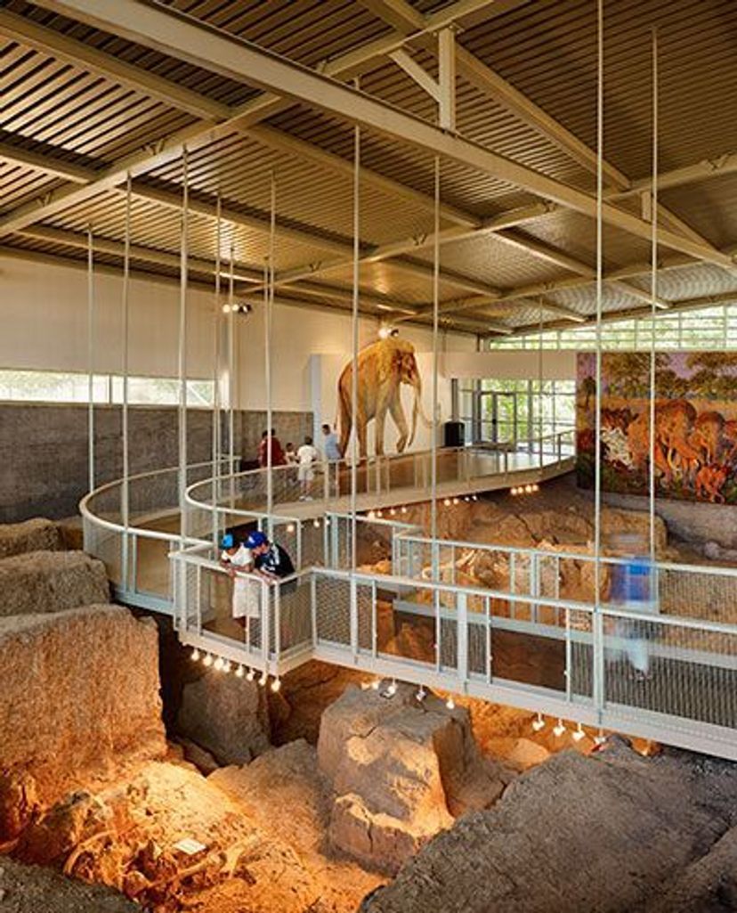 Visitors view fossils from above using the elevated walkway.