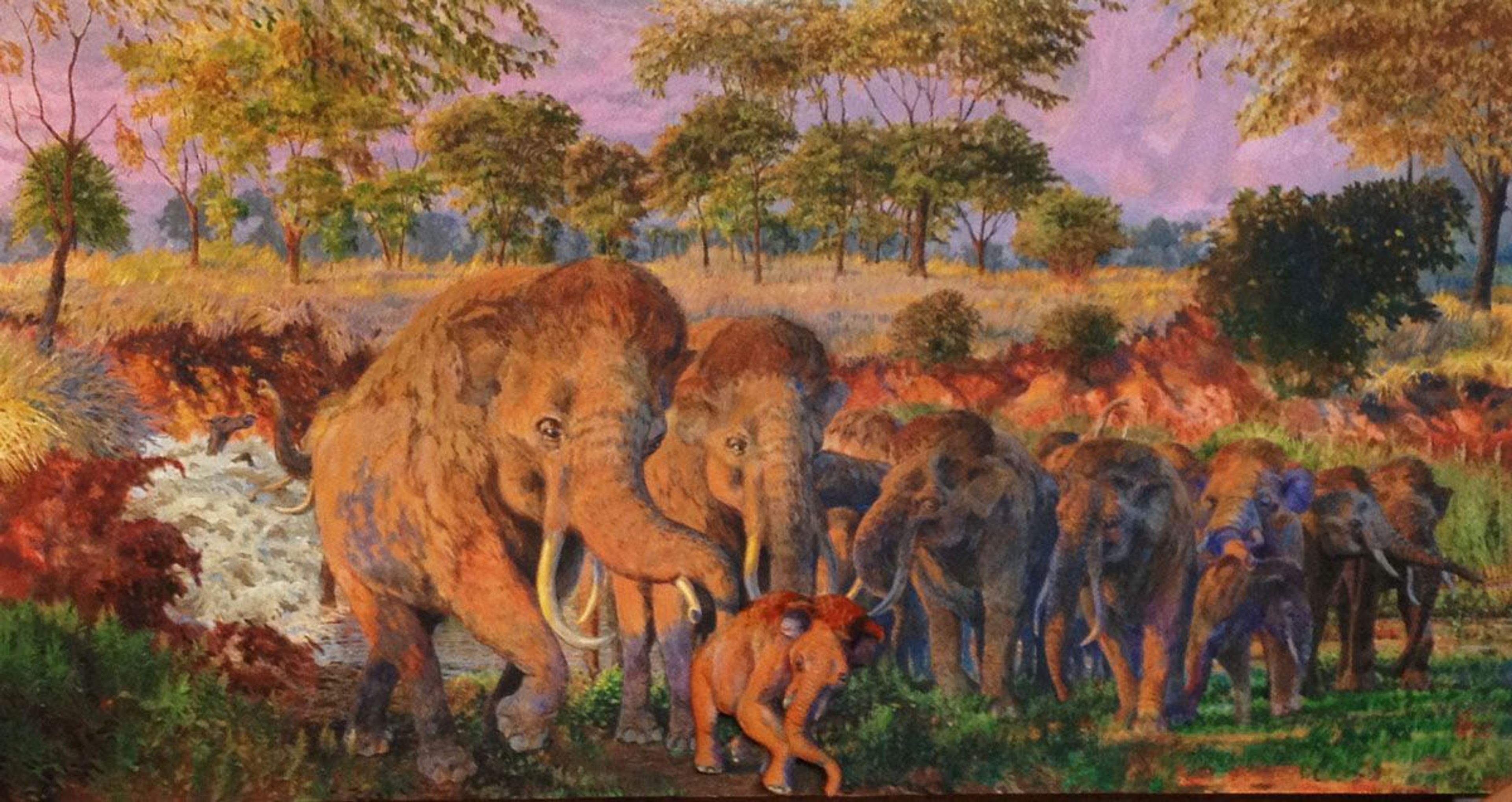 This paleontological site represents the nation’s only recorded discovery of a nursery herd of Columbian mammoths.