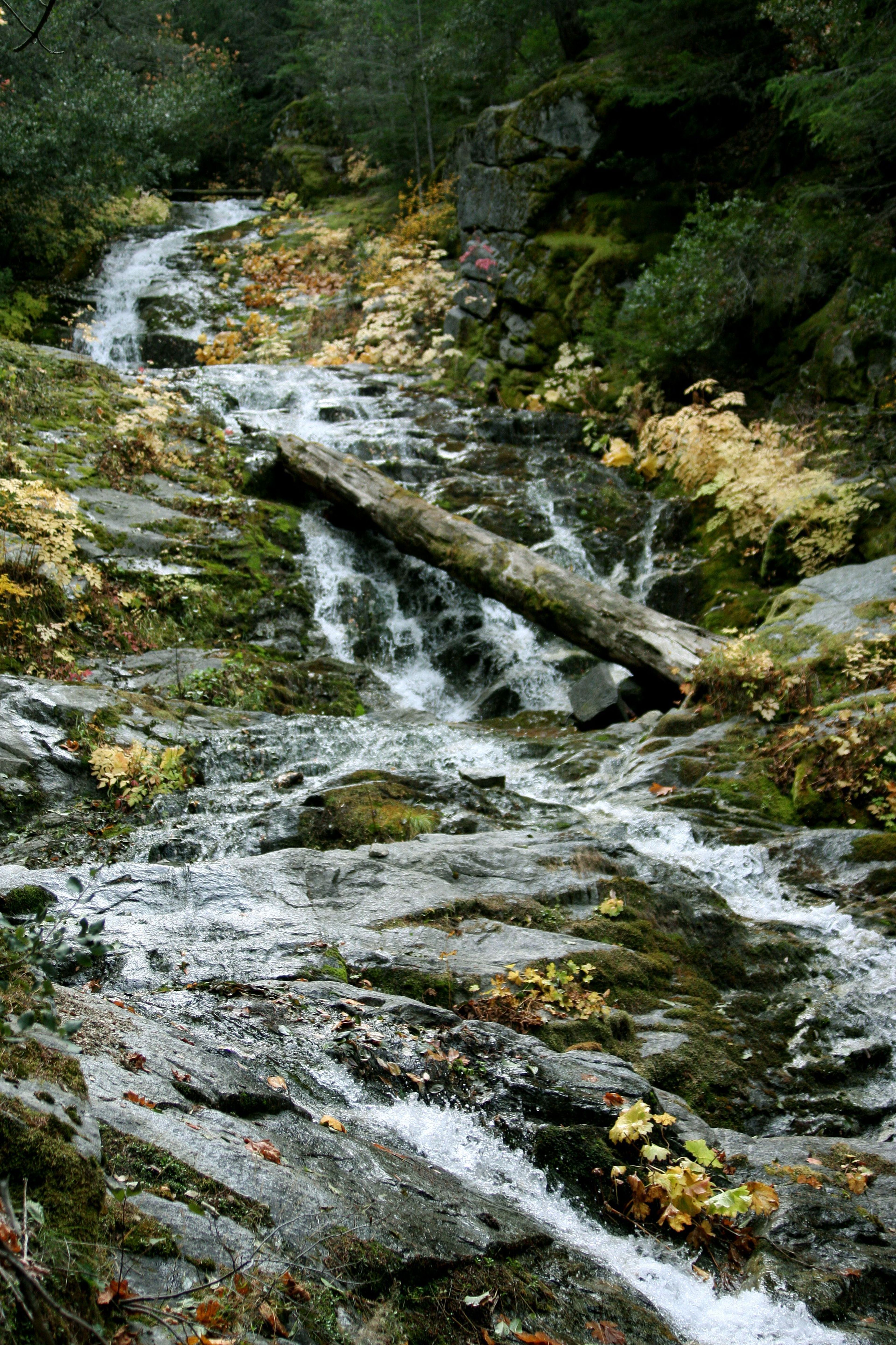 One of the four major waterfalls- Whiskeytown Falls