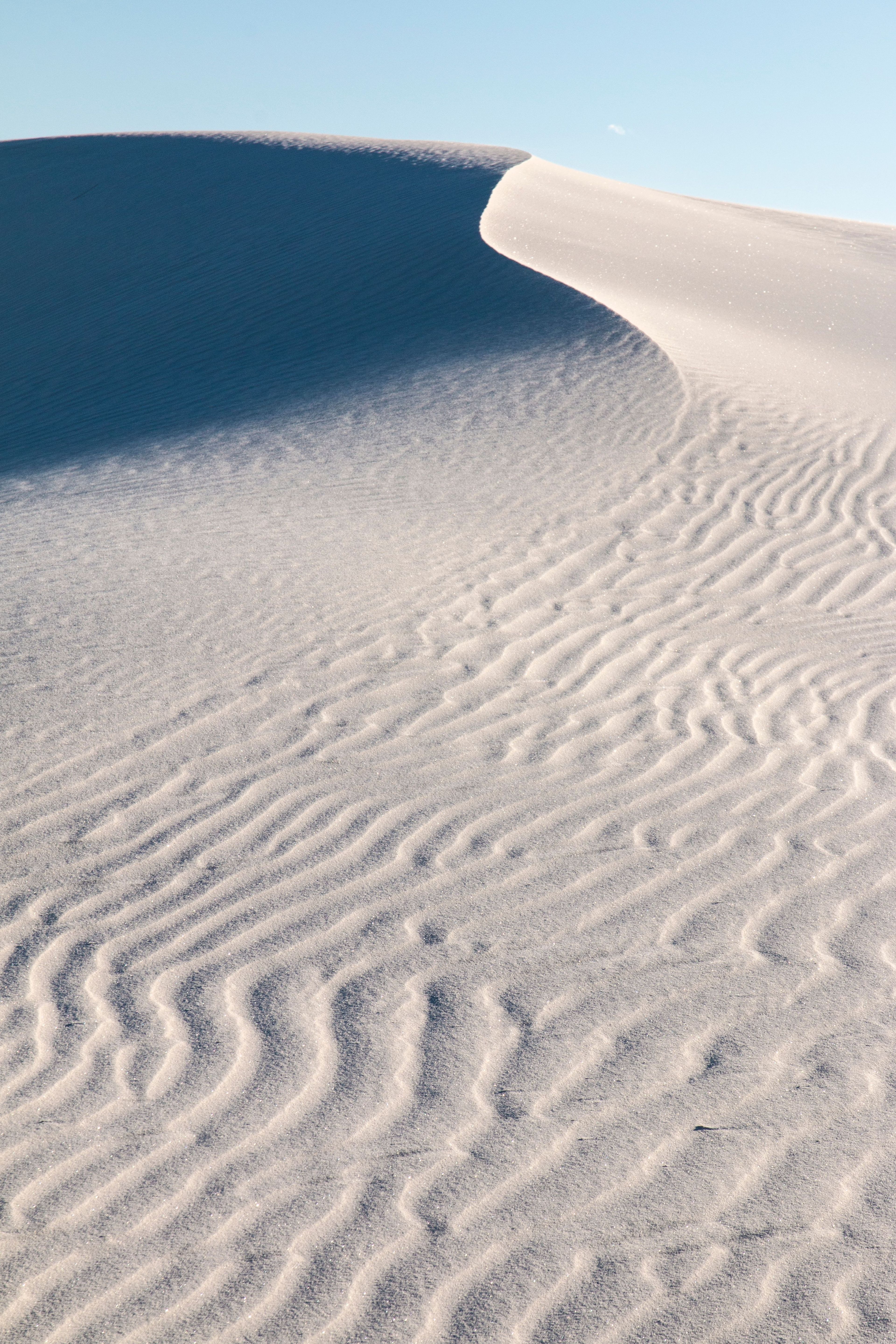 The wind shapes and moves the dunes as a whole but gives each individual dune the texture of ripples.