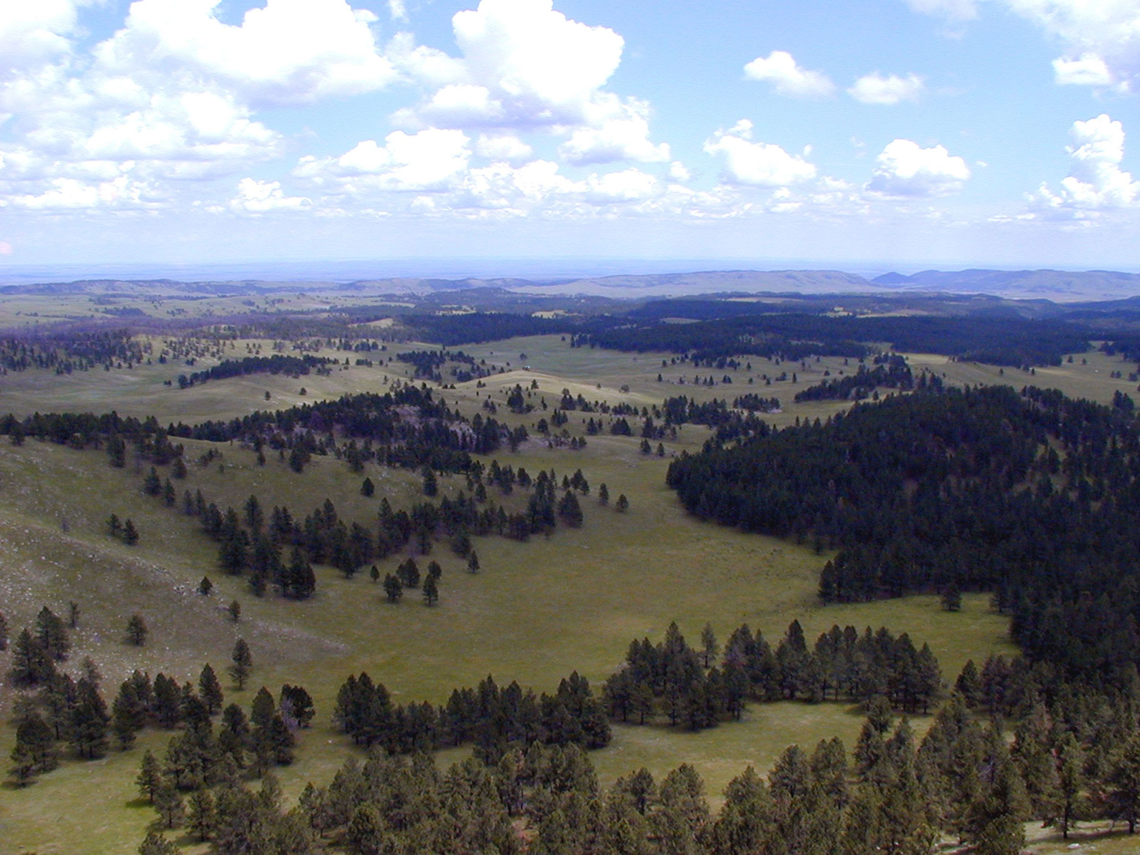 Wind Cave National Park from Rankin Ridge, the park's highest point.