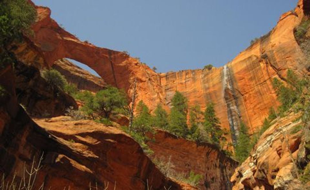 Deep in Zion's Wilderness sits Kolob Arch, one of the largest free-standing arches in the world.