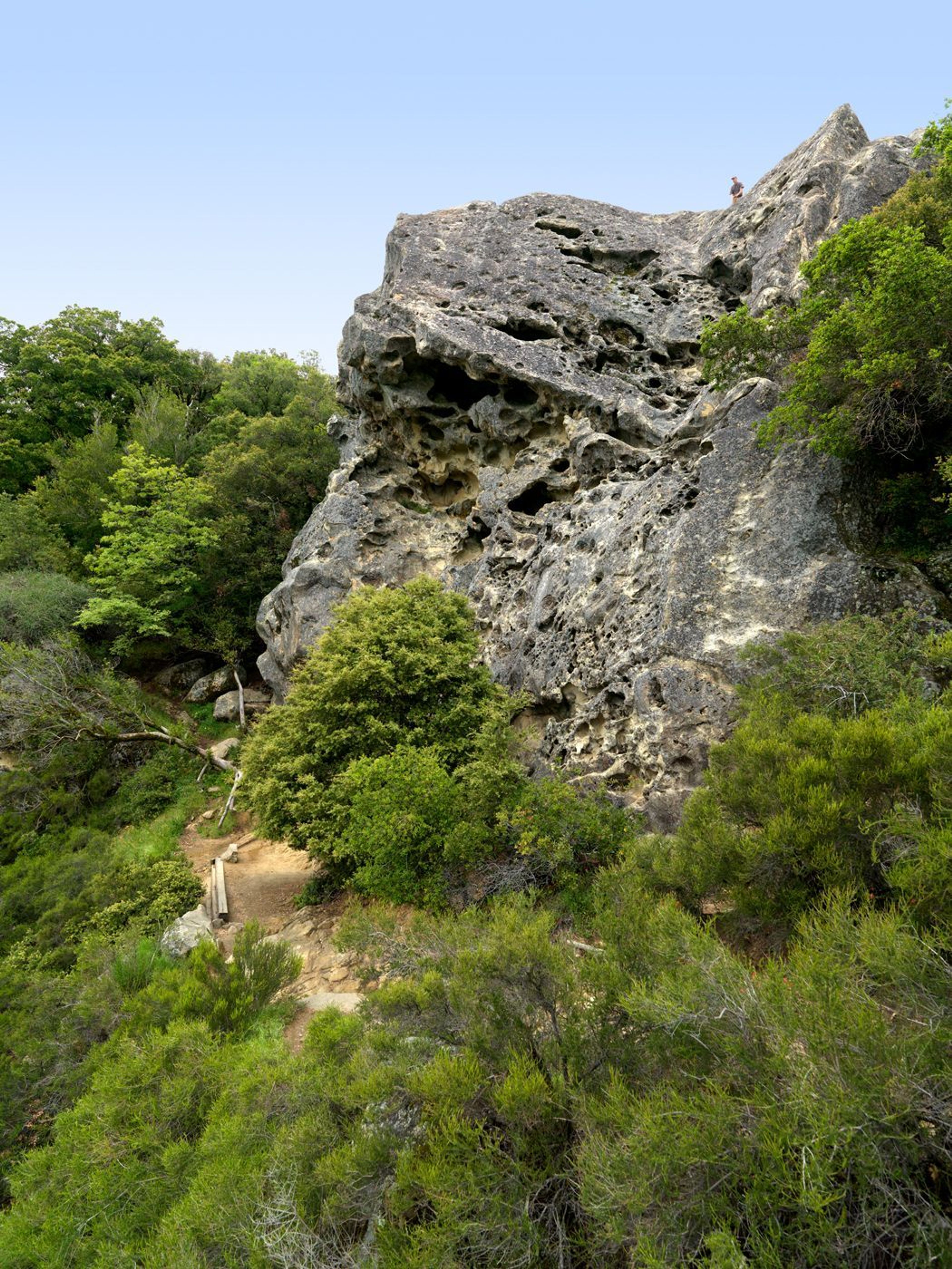 Vaqueros sandstone pocketed rocks and climbing routes surrounded by trees and shrubs. 