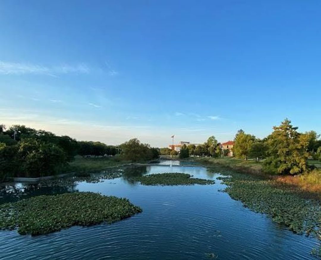 Photos of retention ponds at Miller-Showers Park