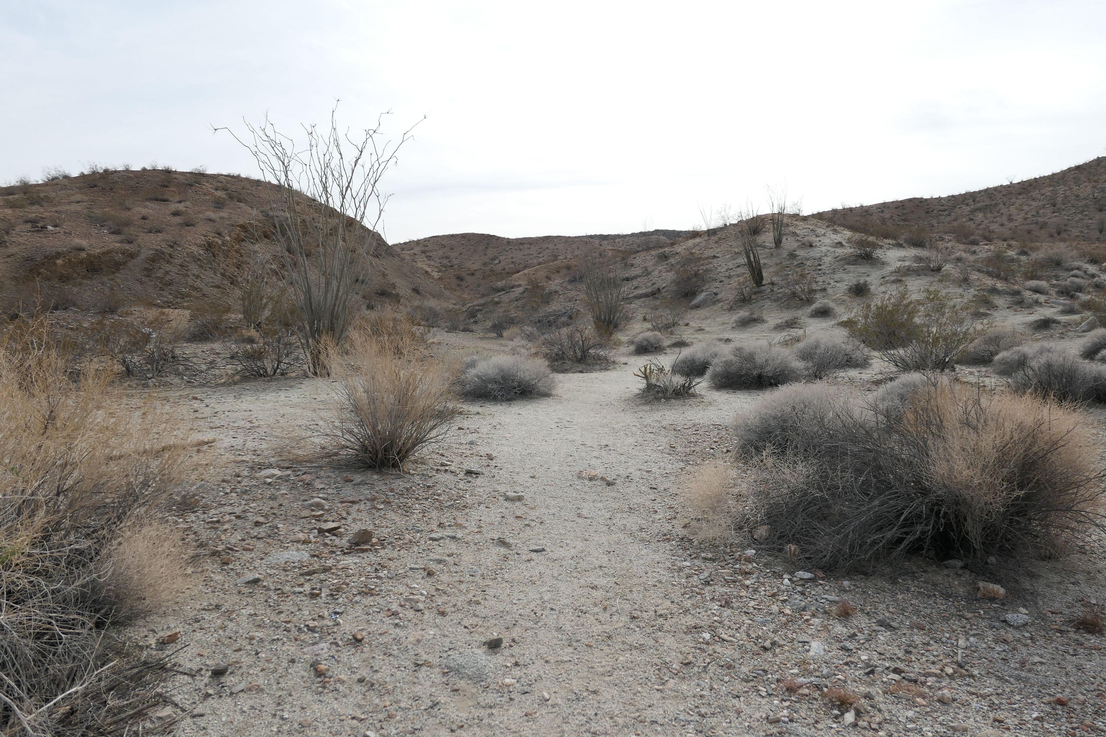 Little Surprise Canyon at Hellhole Canyon parking lot