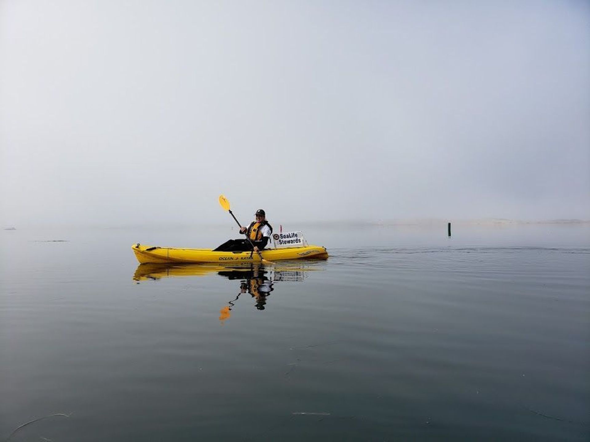 Kayaking in Morro Bay State Park