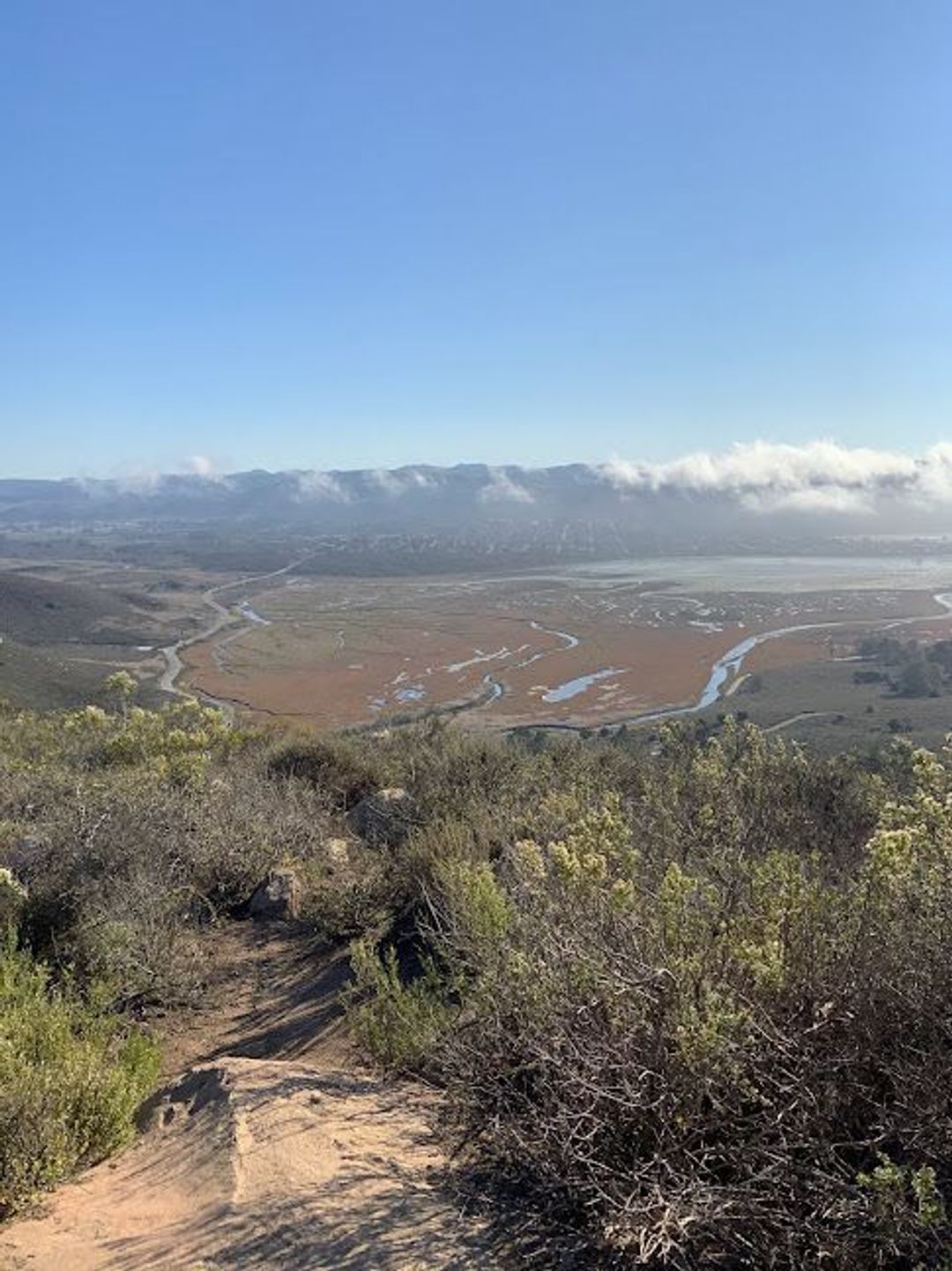 View South from Black Hill Trail in Morro Bay State Park