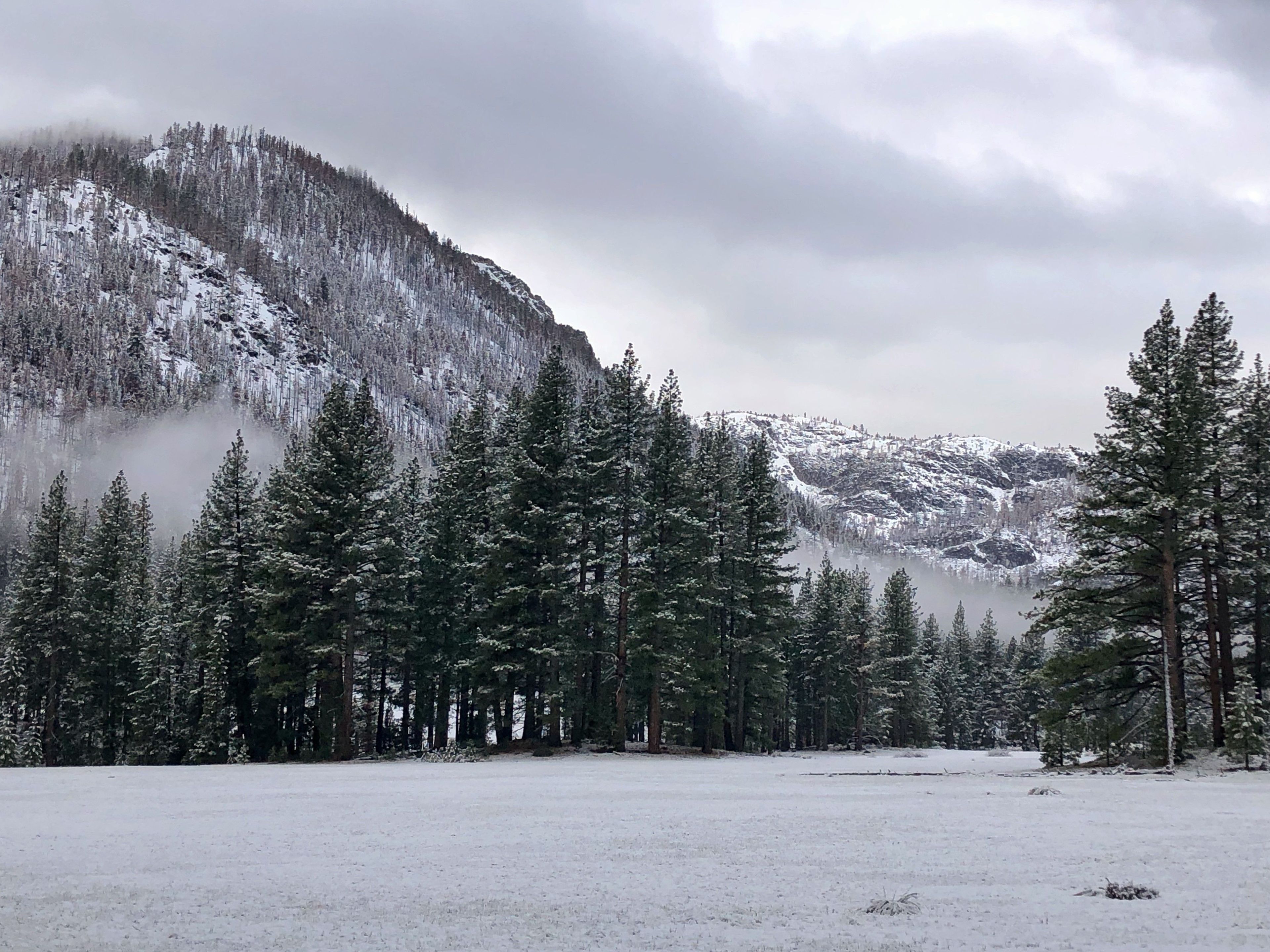 Grover Hot Springs meadows in the winter. A fog is seen in the background between tall pine trees and mountains.