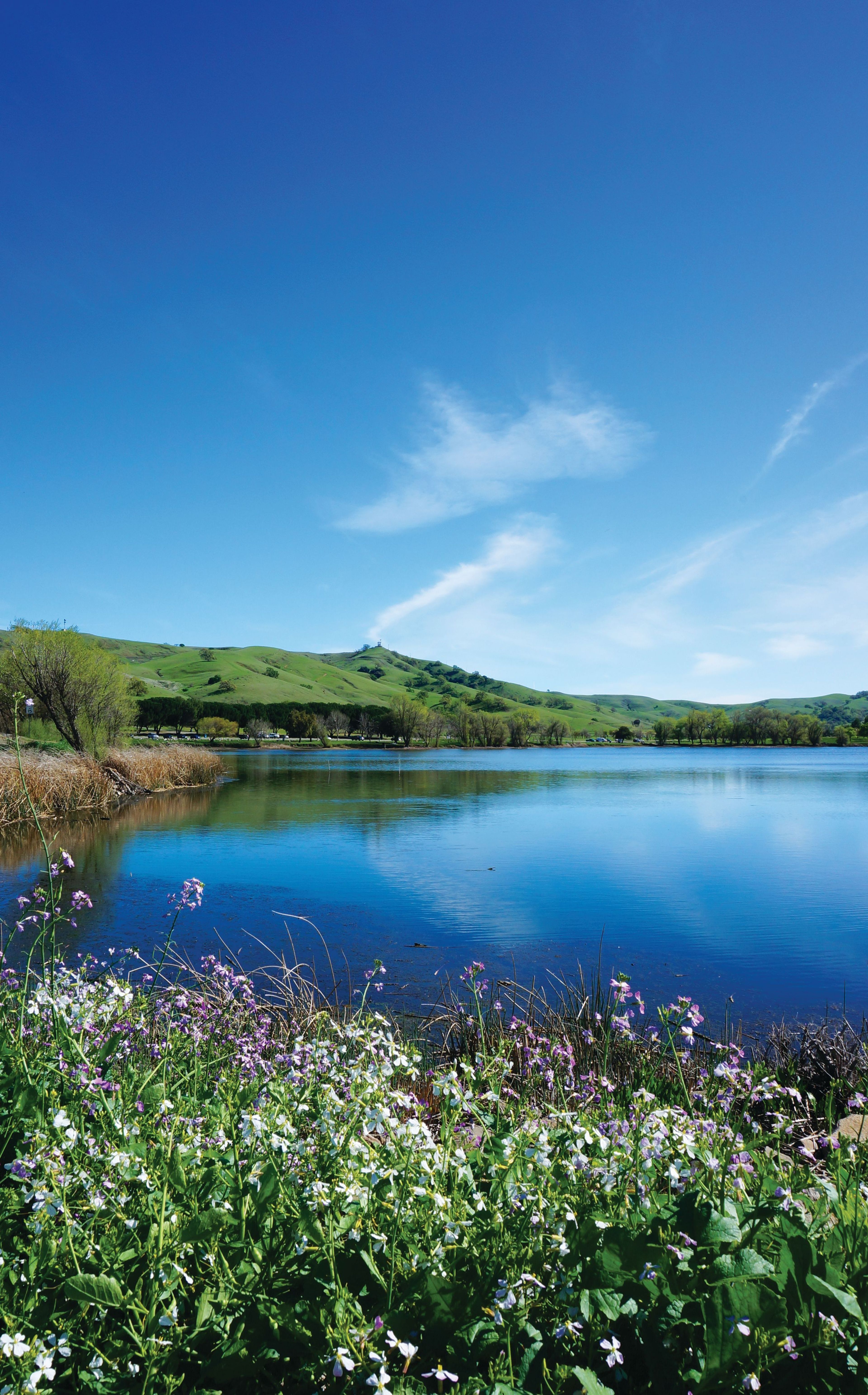 Lagoon Valley Park