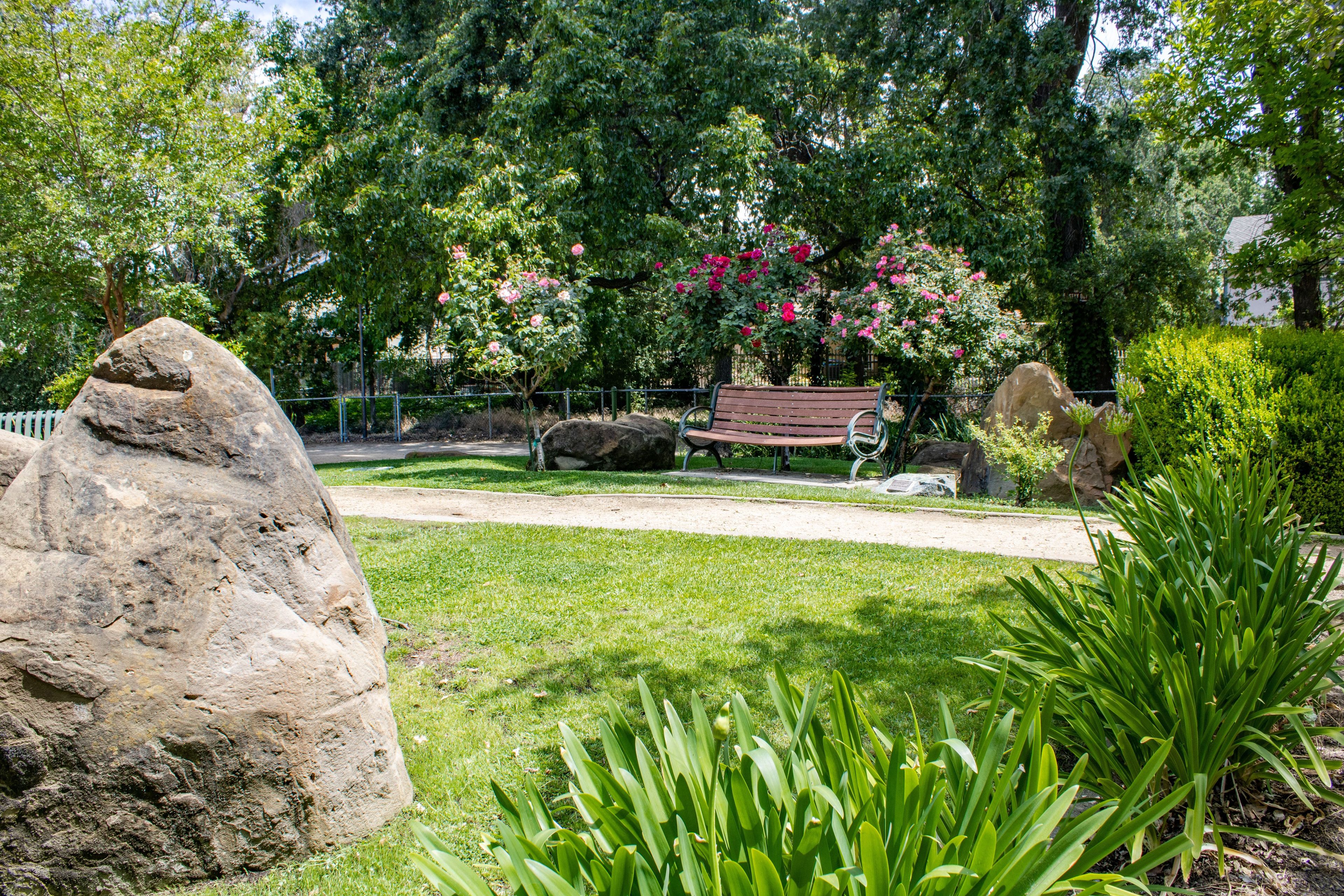 Alamo Creek Park bench