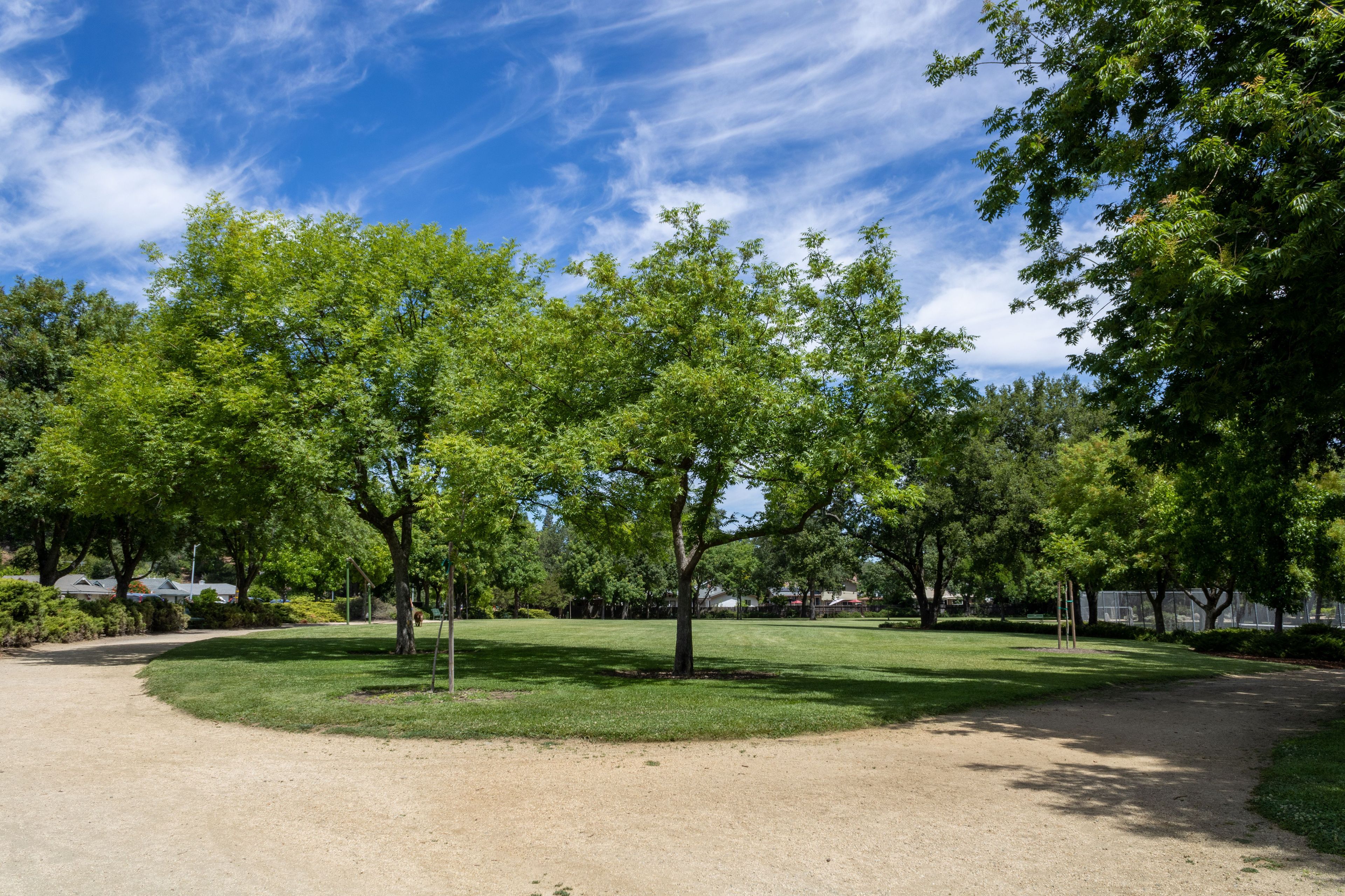 Alamo Creek Park field