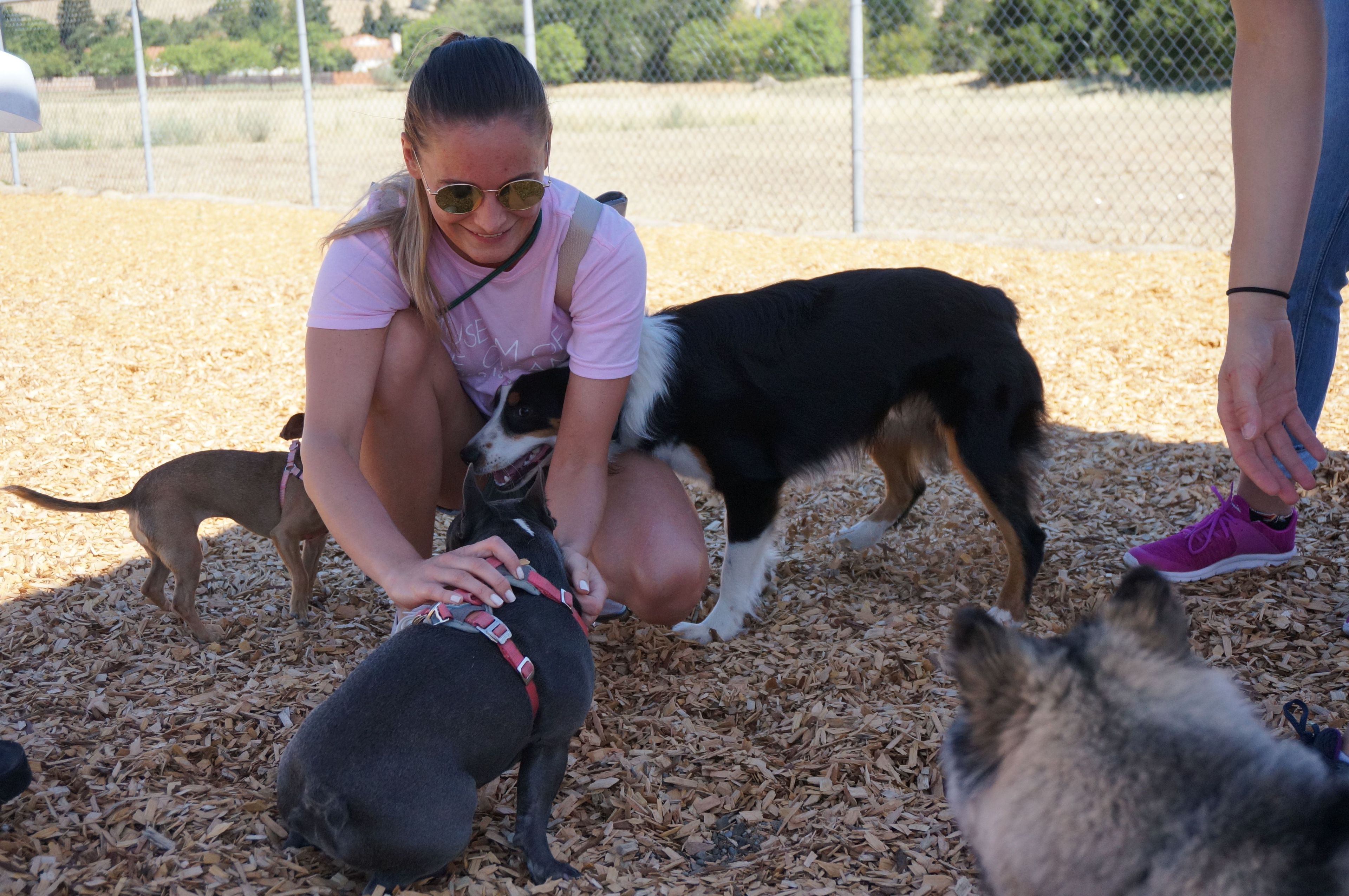 Woman with dogs